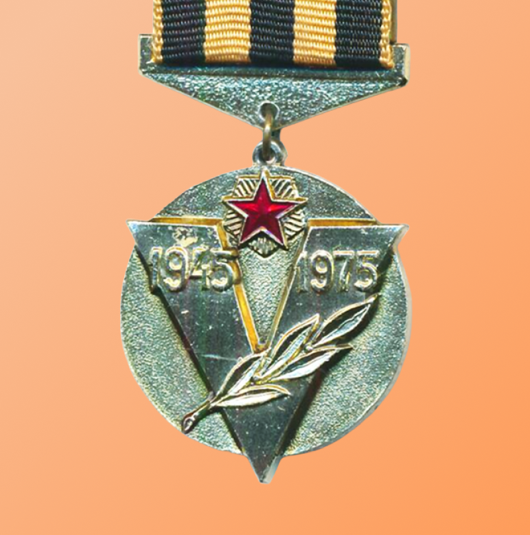 Памятная медаль. Советский комитет ветеранов войны.