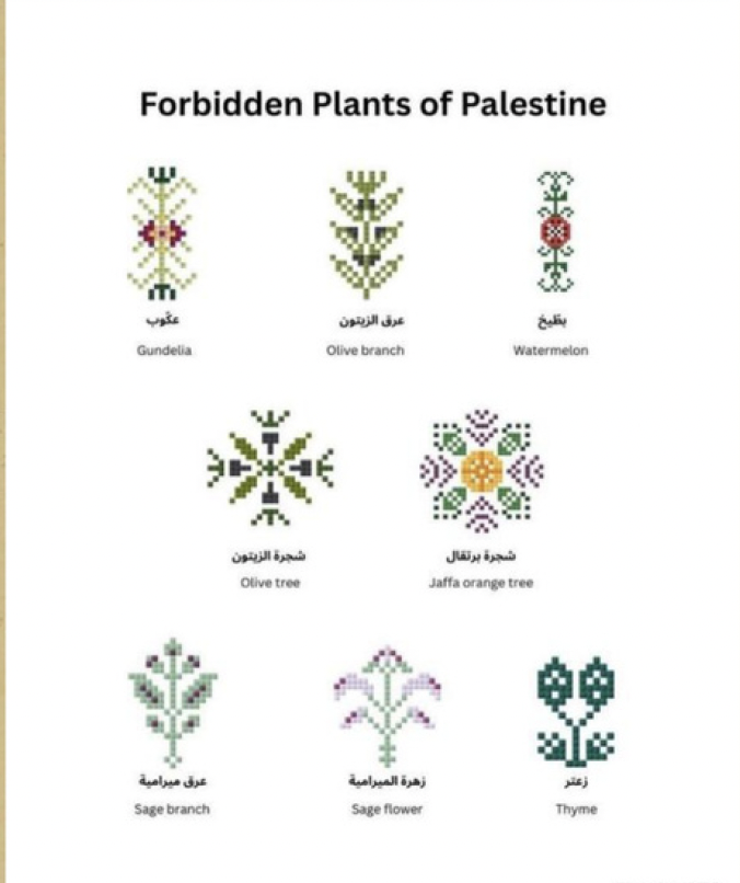 النباتات الفلسطينية في التطريز