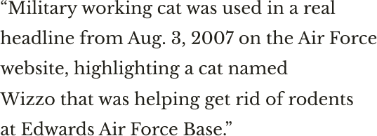 Military working cat was used in a real headline from Aug. 3, 2007 on the Air Force website, highlighting a cat named Wizzo that was helping get rid of rodents at Edwards Air Force Base.