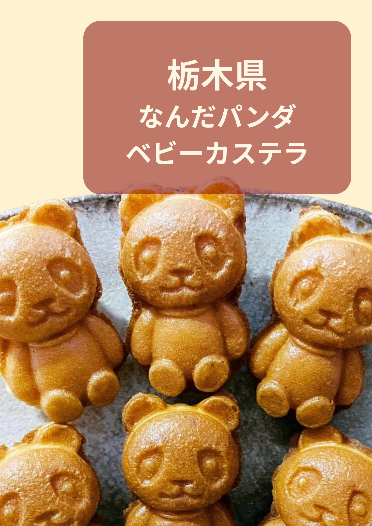 栃木県 なんだパンダベビーカステラ