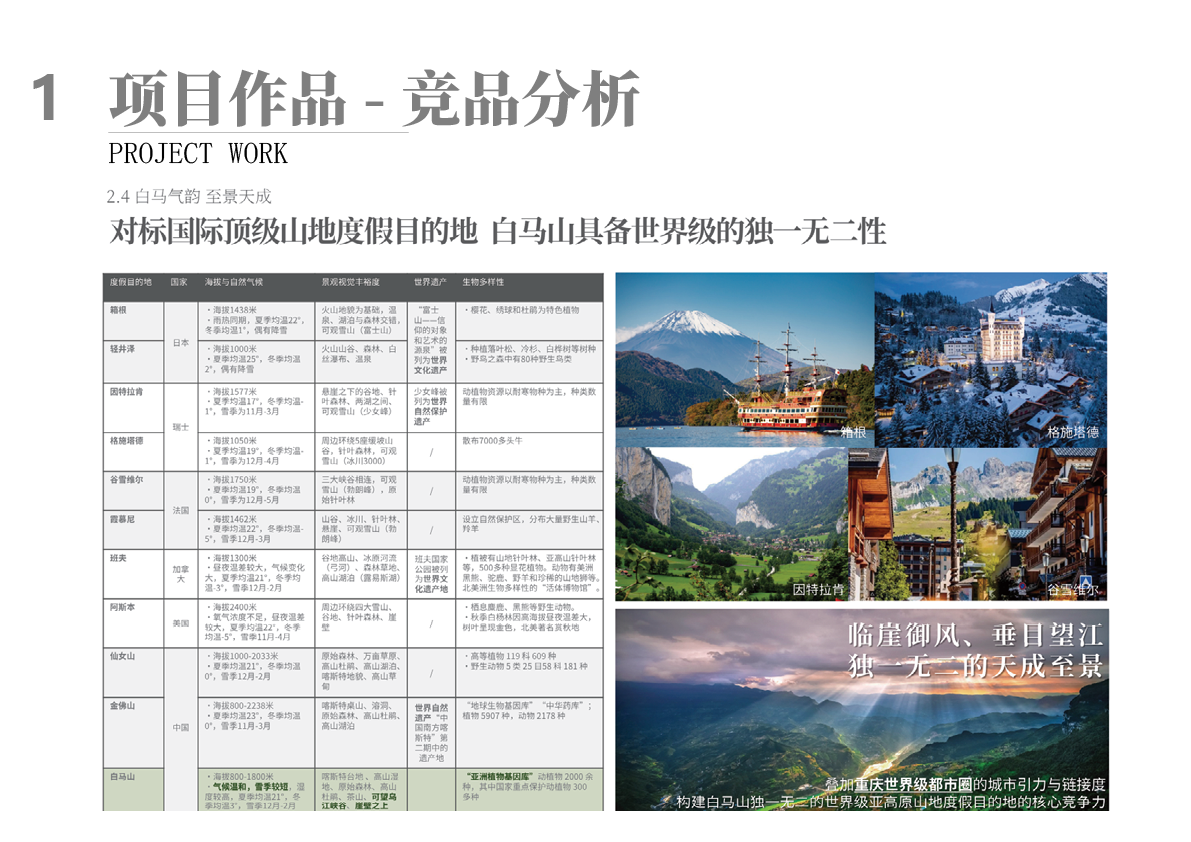 项目作品 - 竞品分析