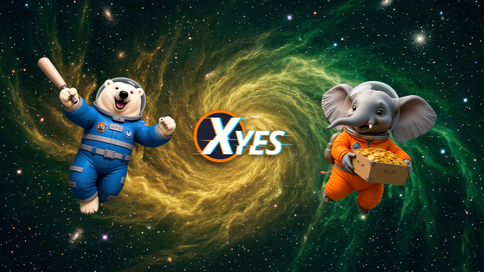 Rollbit review cover