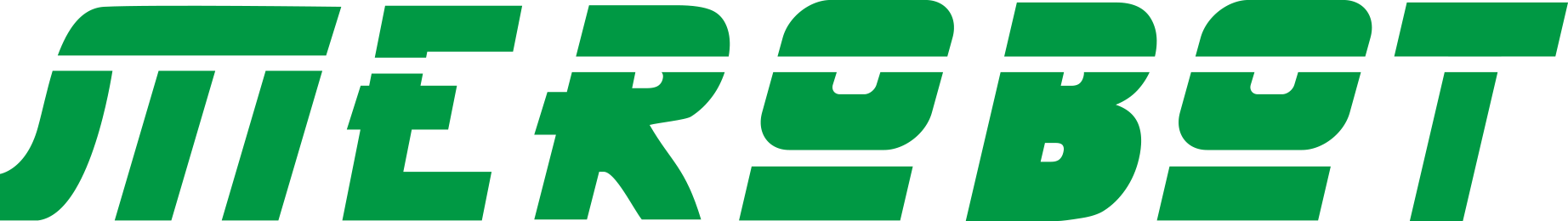 MEROBOT Logo