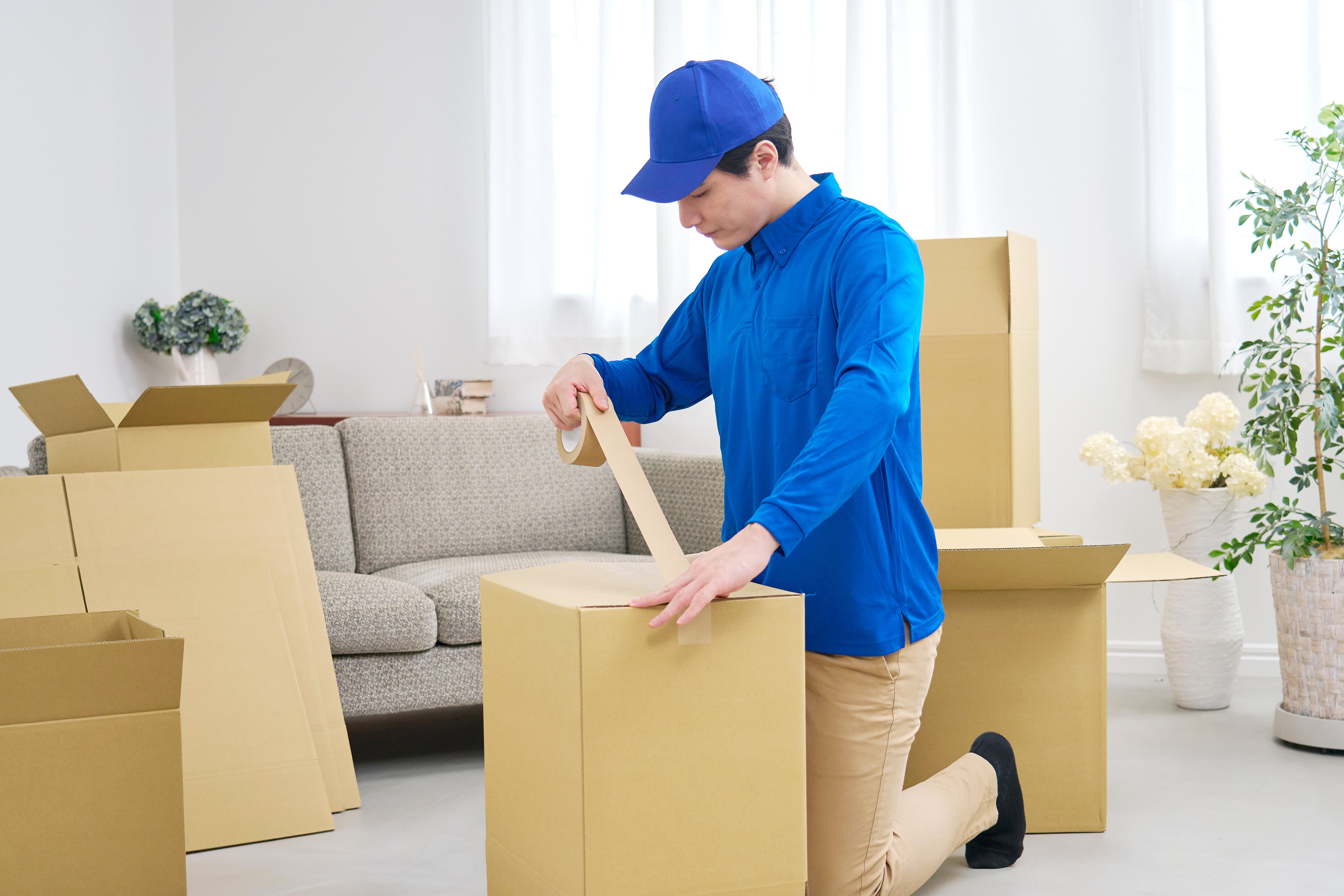 Umzug Berlin Dresden – Umzugshelfer beim Verpacken