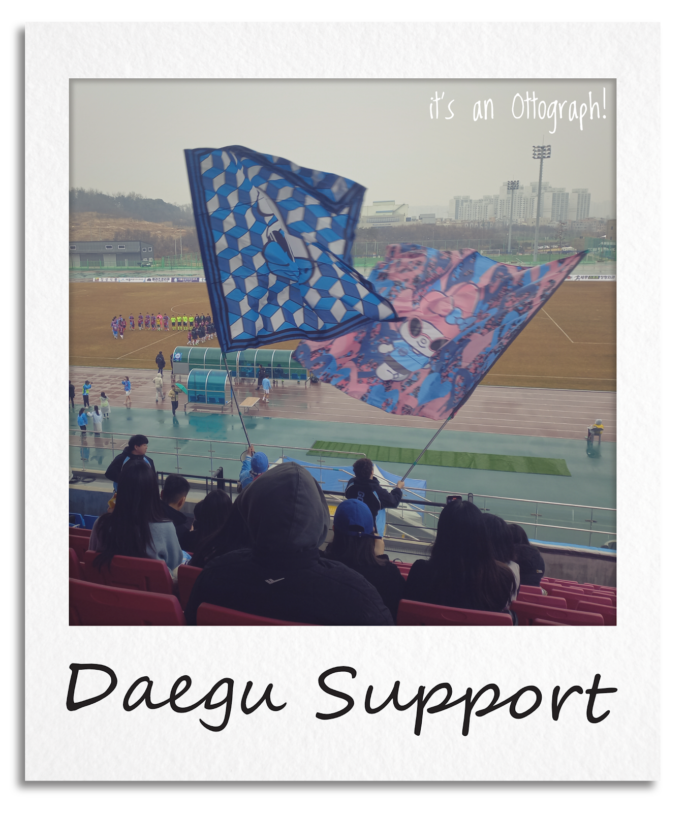 Daegu Support - 대구 팬