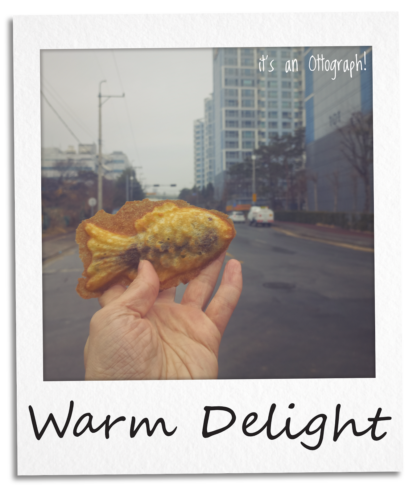 Warm Delight - 붕어빵