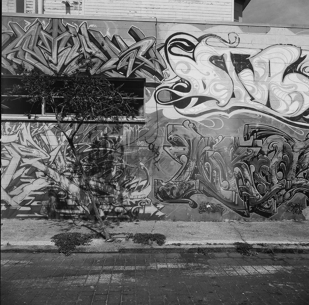 Industrial warehouse wall covered in intricate graffiti and street art with bare tree branches casting shadows