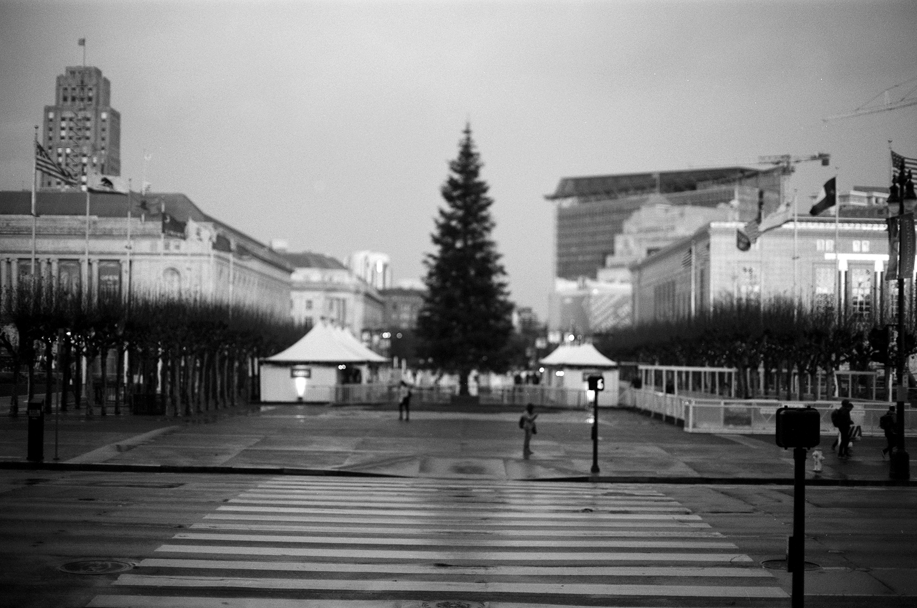 Civic Center plaza with Christmas tree and ice rink area at dusk with City Hall visible