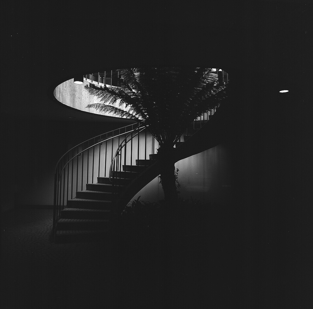 Spiral staircase descending through darkness with illuminated plants and dramatic light from above