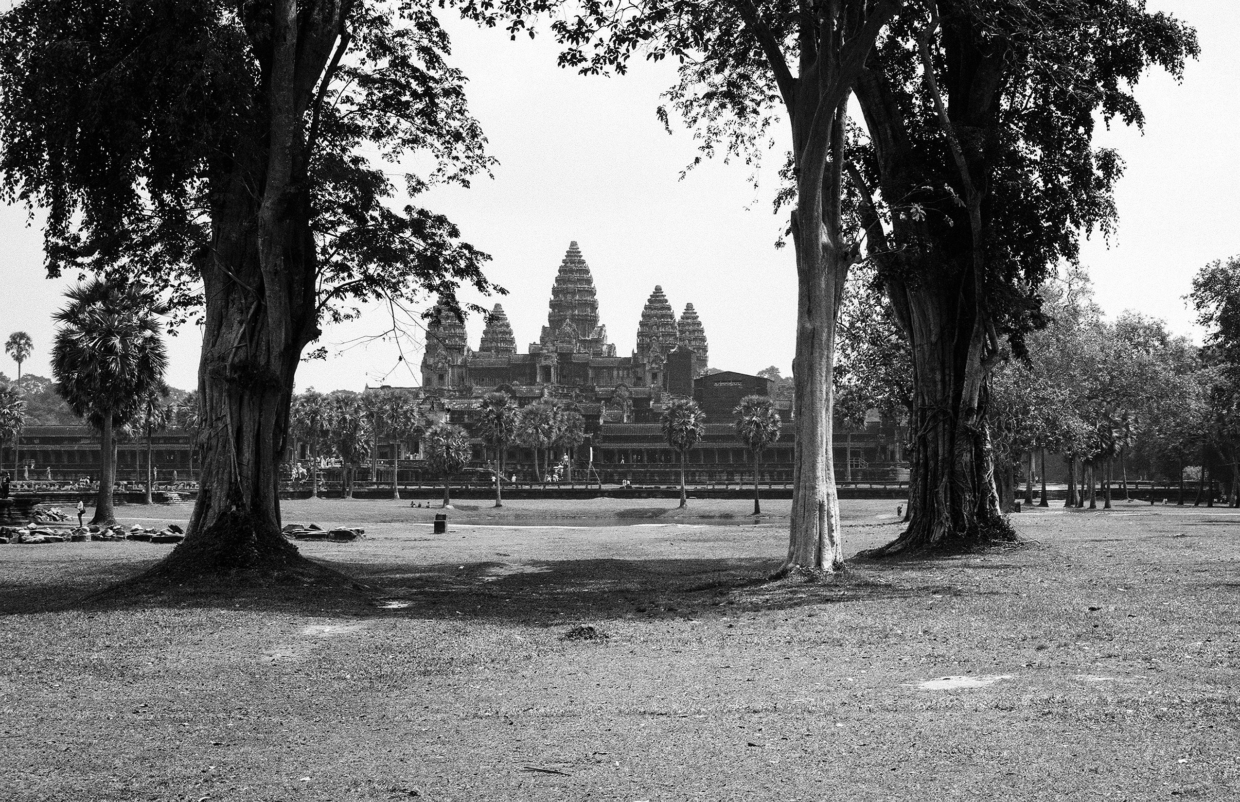 Angkor Wat temple complex framed between two large cypress trees reflected in water