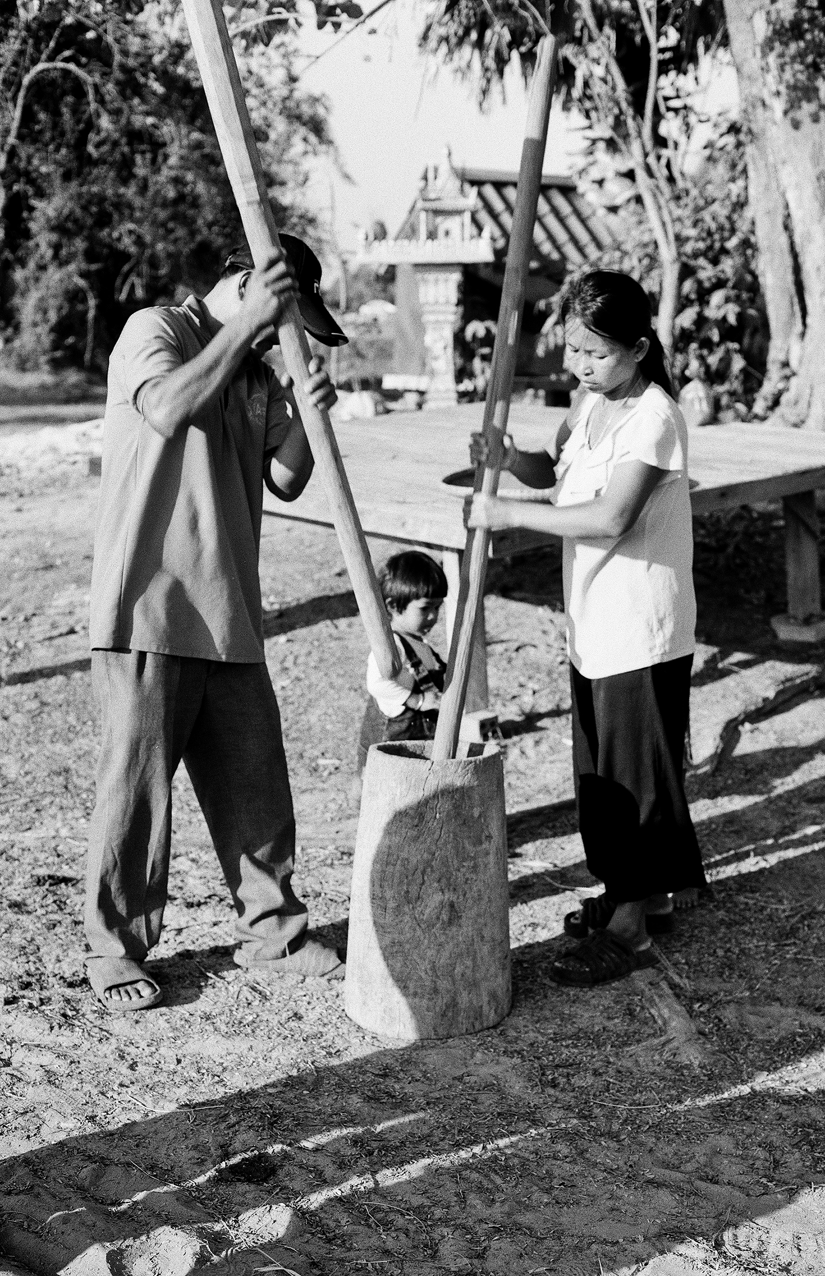 Family members working with wooden digging tool at temple in tropical setting