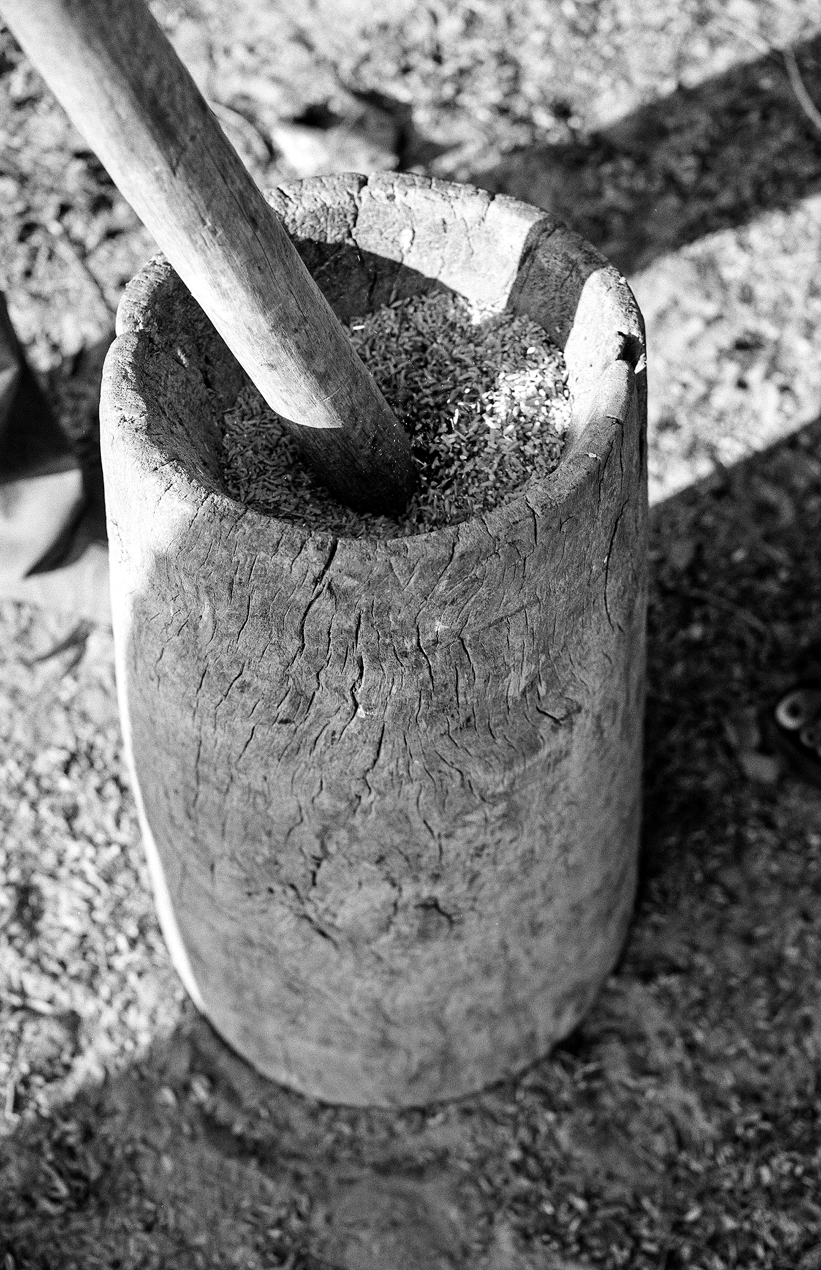 Wooden mortar with pestle and ground spices or medicinal herbs inside
