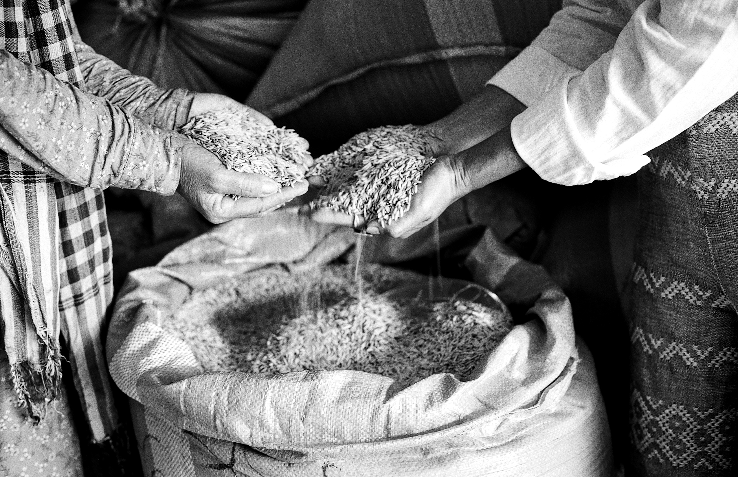 Hands spreading and sifting rice or grain on woven cloth for processing