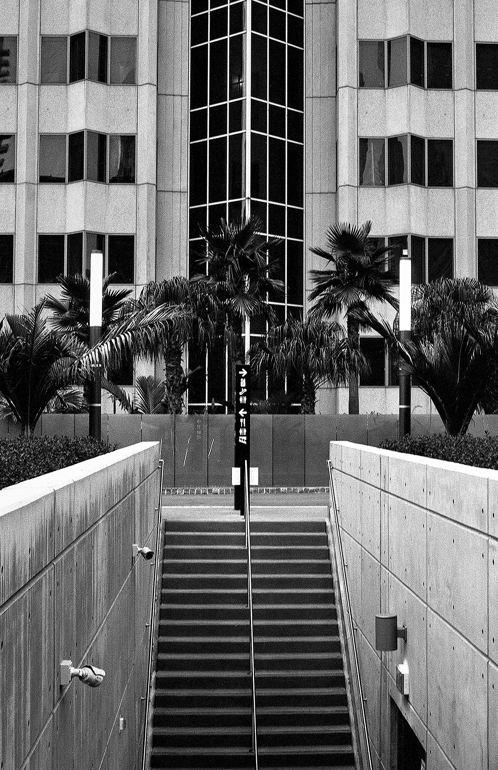 Symmetrical concrete stairs leading to modern building with palm trees and geometric bay windows in downtown plaza