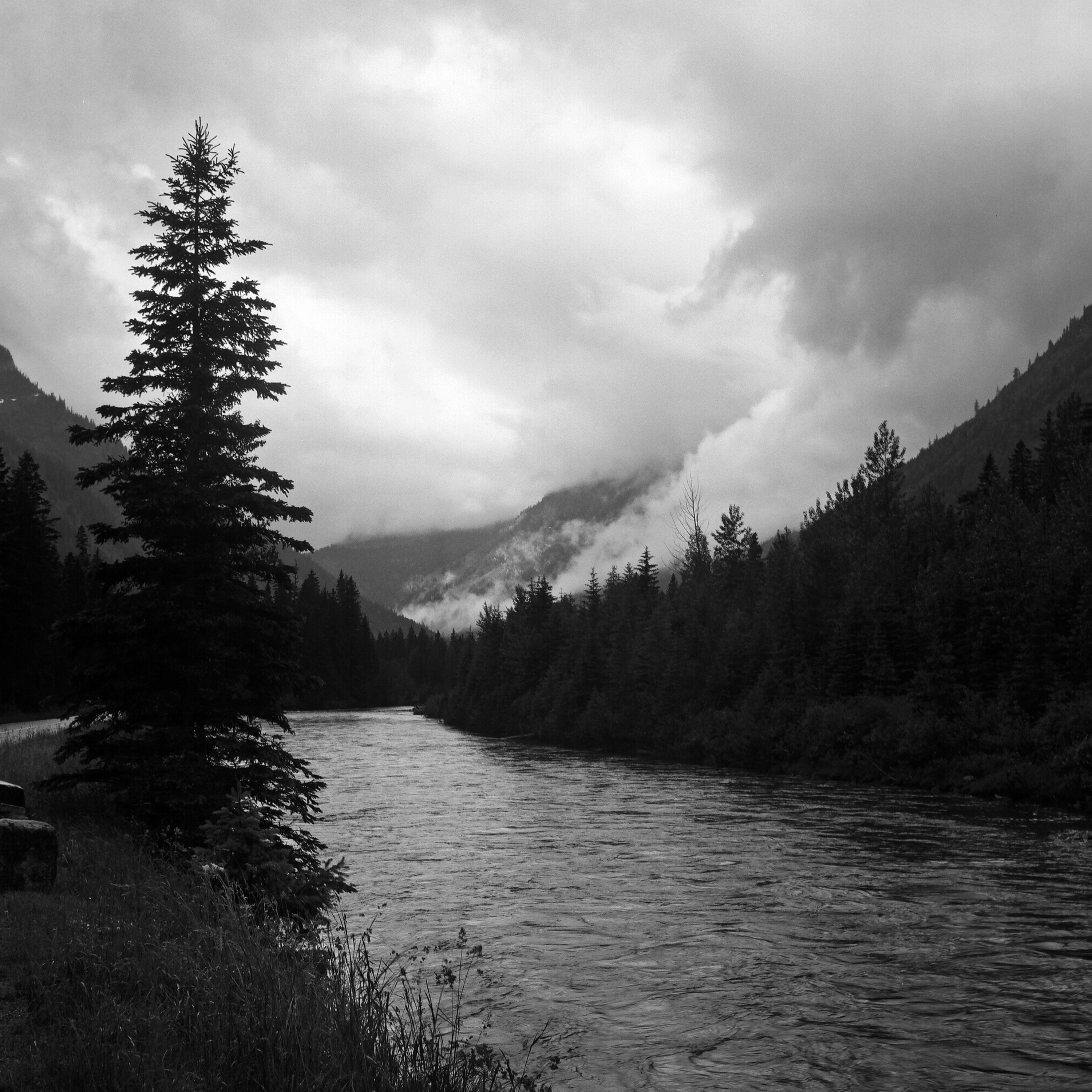 Mountain river flowing through evergreen forest valley with dramatic storm clouds and mist