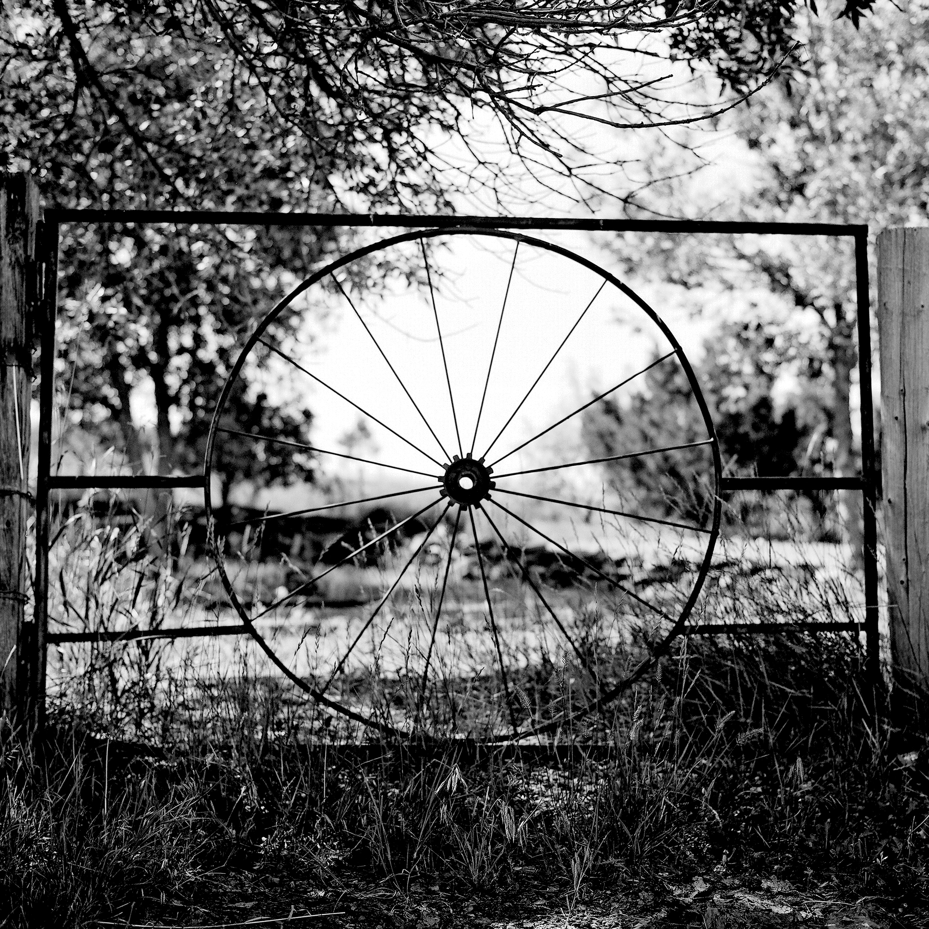 Antique iron wagon wheel mounted in rustic gate frame silhouetted against bright sky with trees