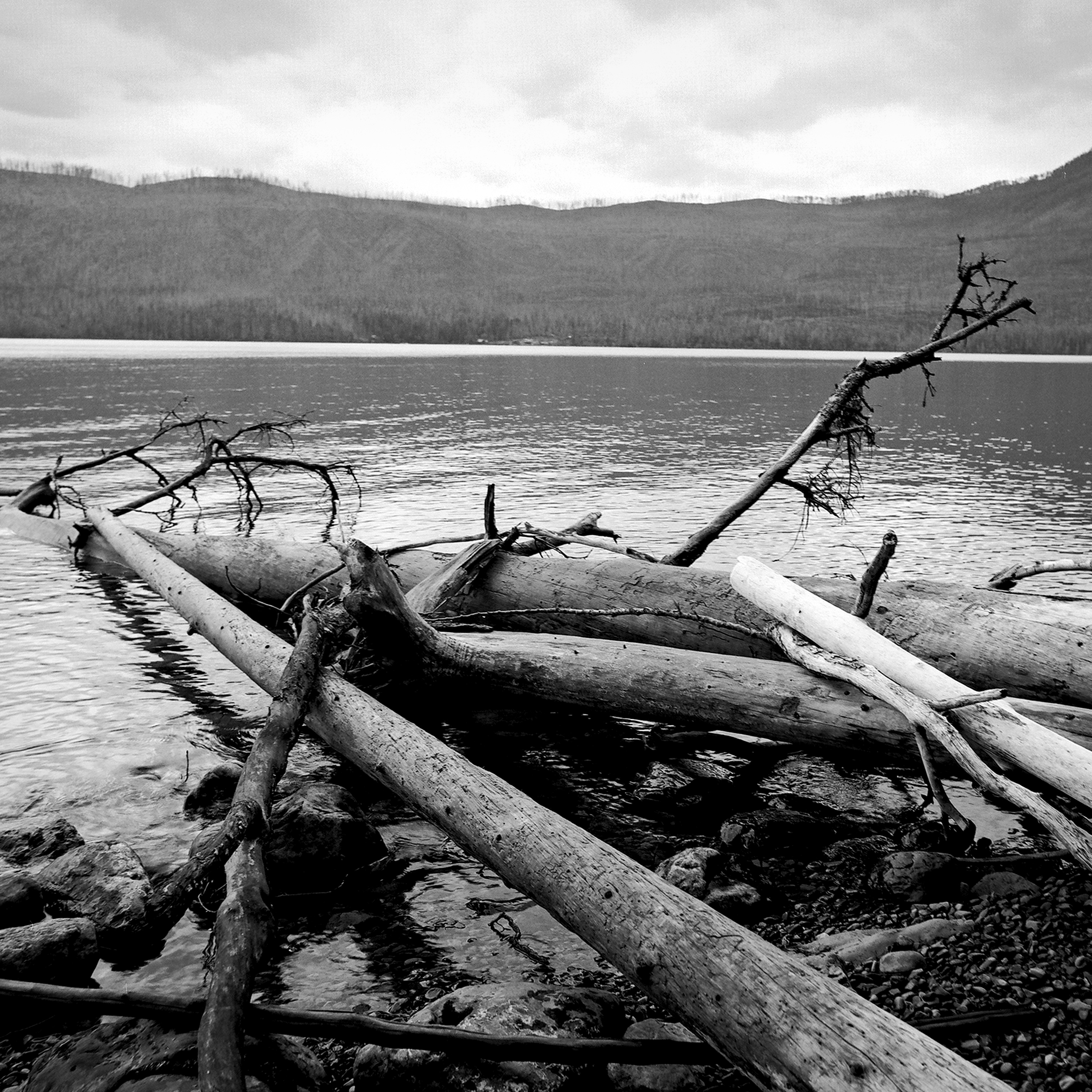 Weathered driftwood logs scattered on lake shore with forested mountains and overcast sky