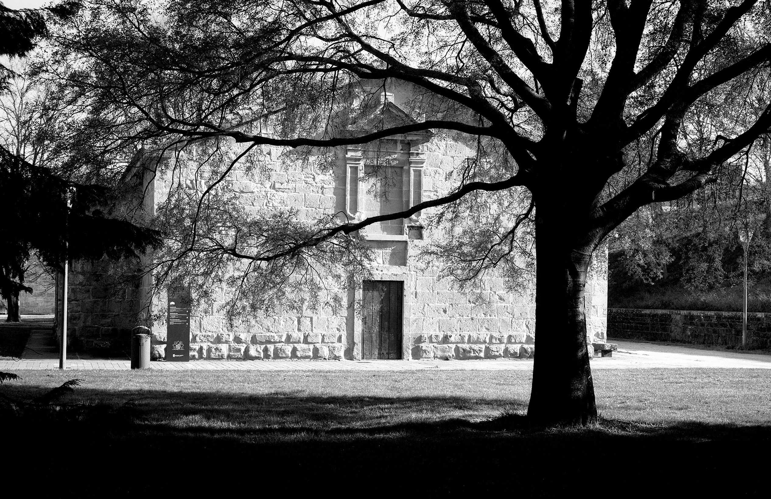 Large bare tree in foreground silhouetted against white stone building and grassy field