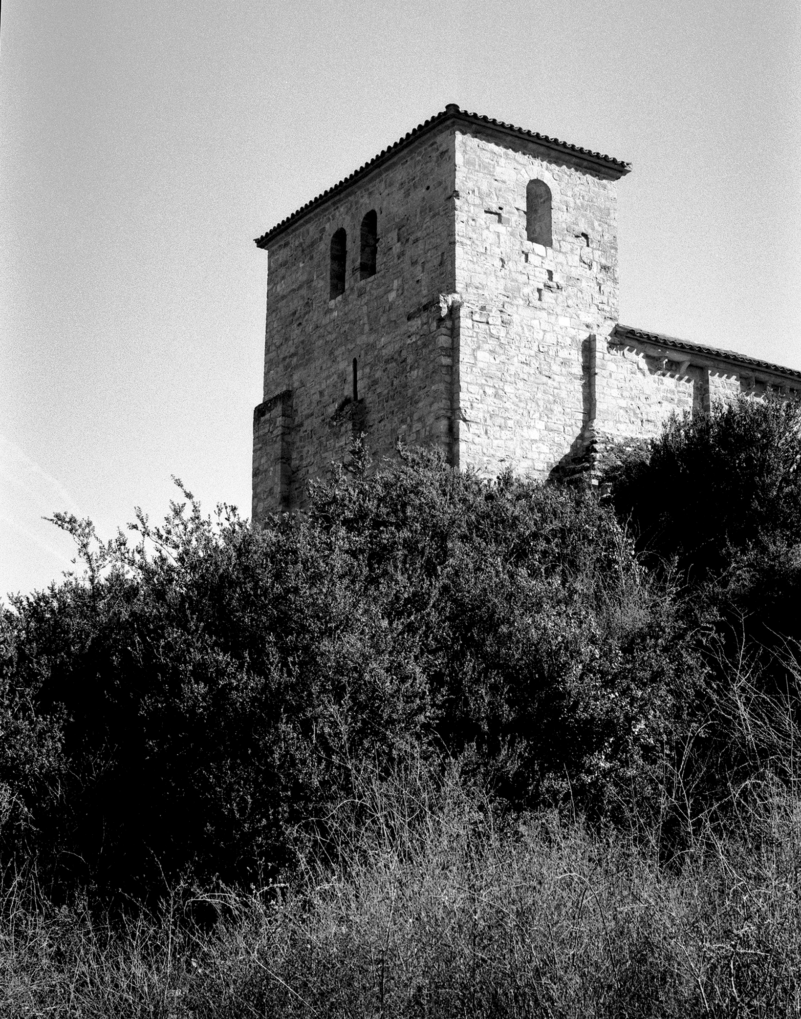 Medieval stone tower with narrow arched windows rising above overgrown hillside vegetation