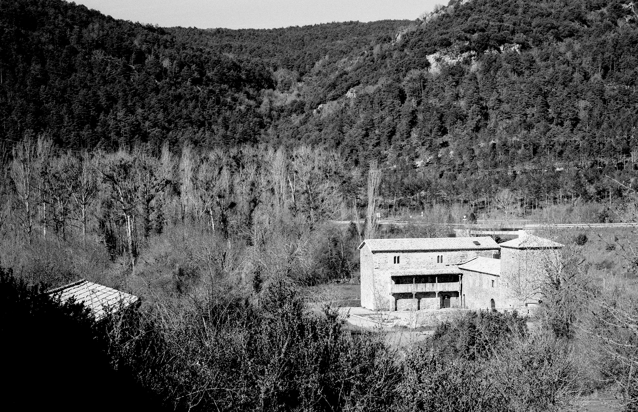 White brutalist building nestled in densely forested hillside landscape
