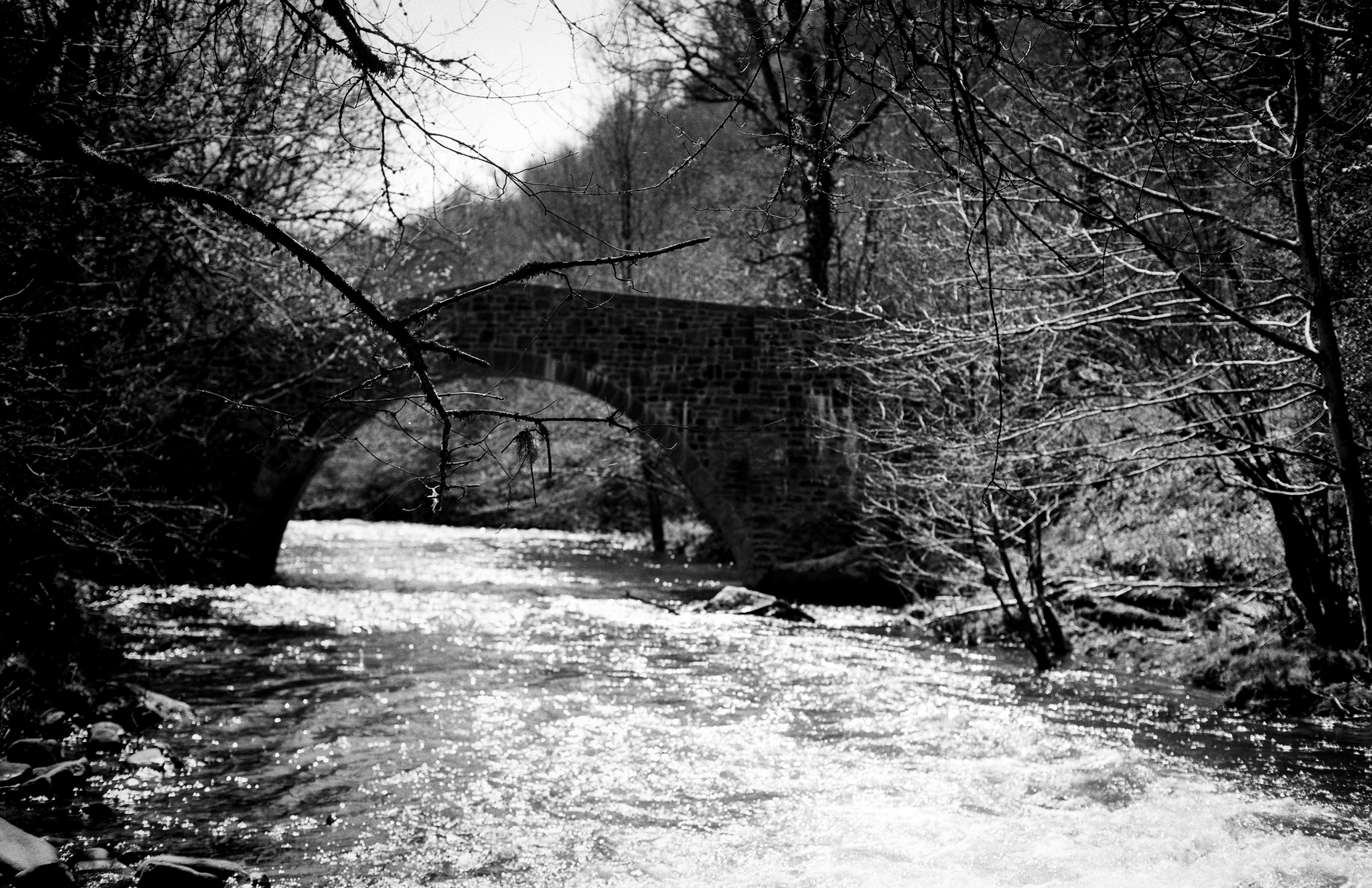 Stone arch bridge spanning river with bare tree branches framing the scene and reflection in water