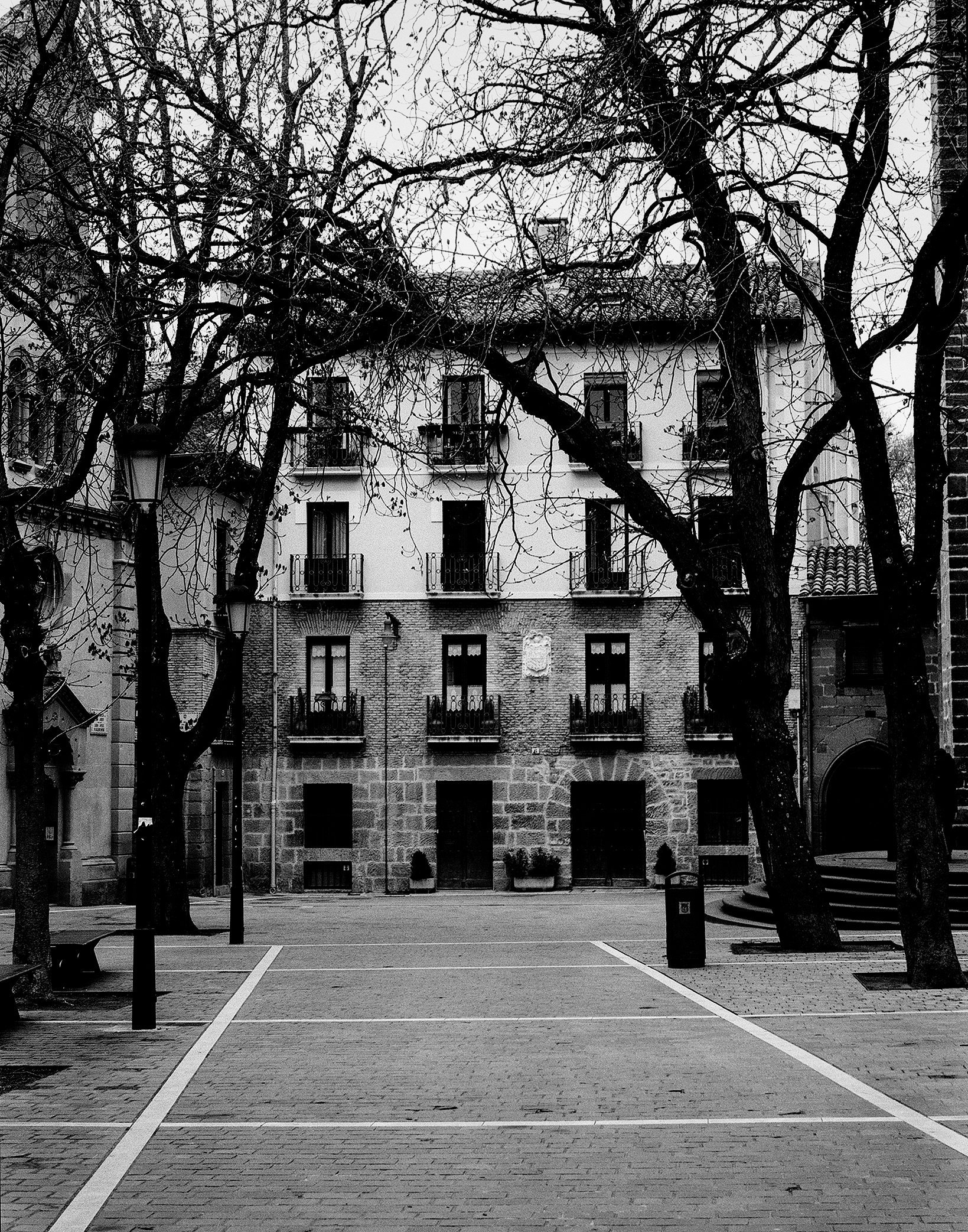 Classical building facade with ornate windows and balconies framed by bare tree branches
