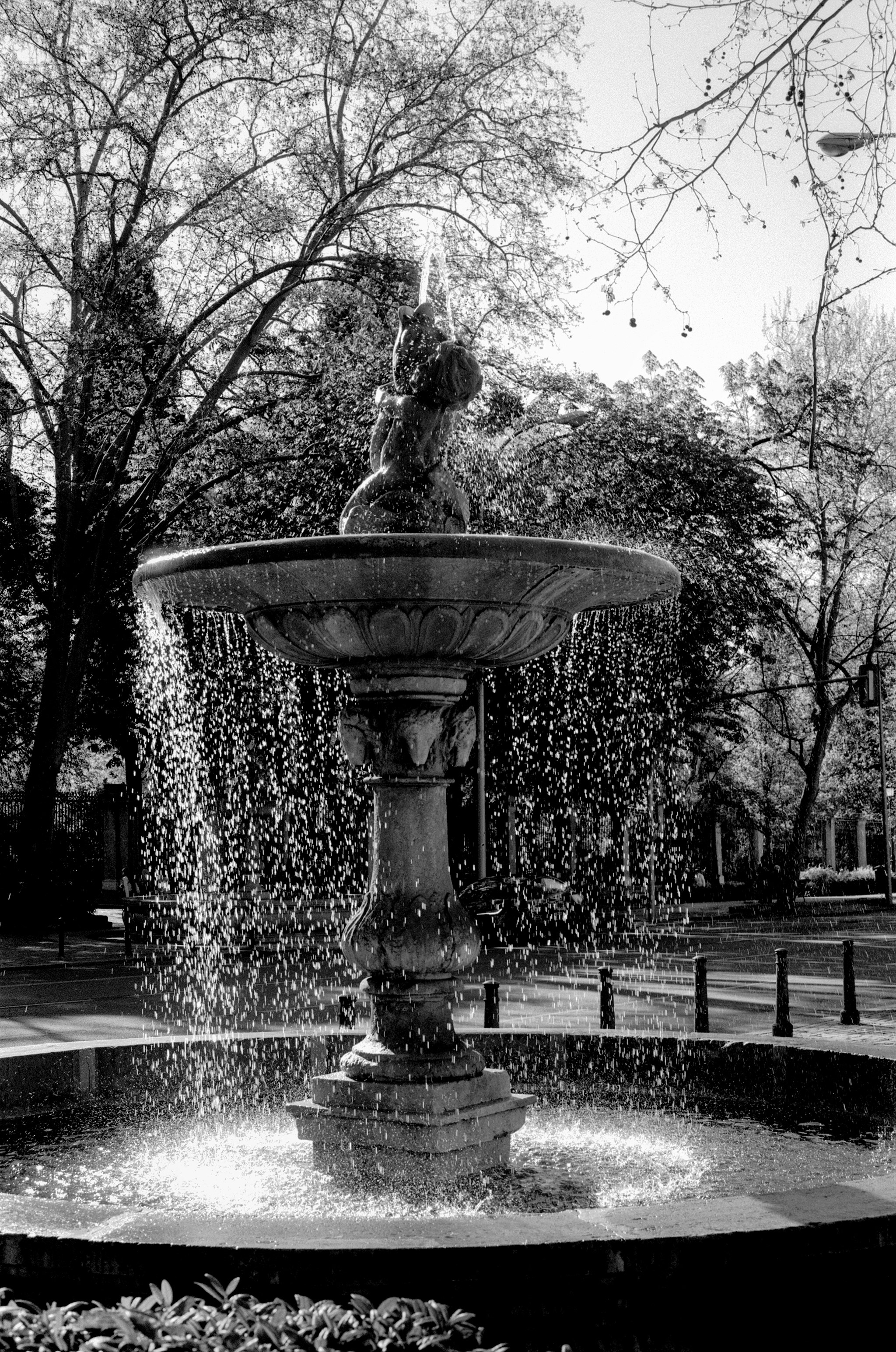 Ornate fountain with water cascading and sculptural figure surrounded by bare trees