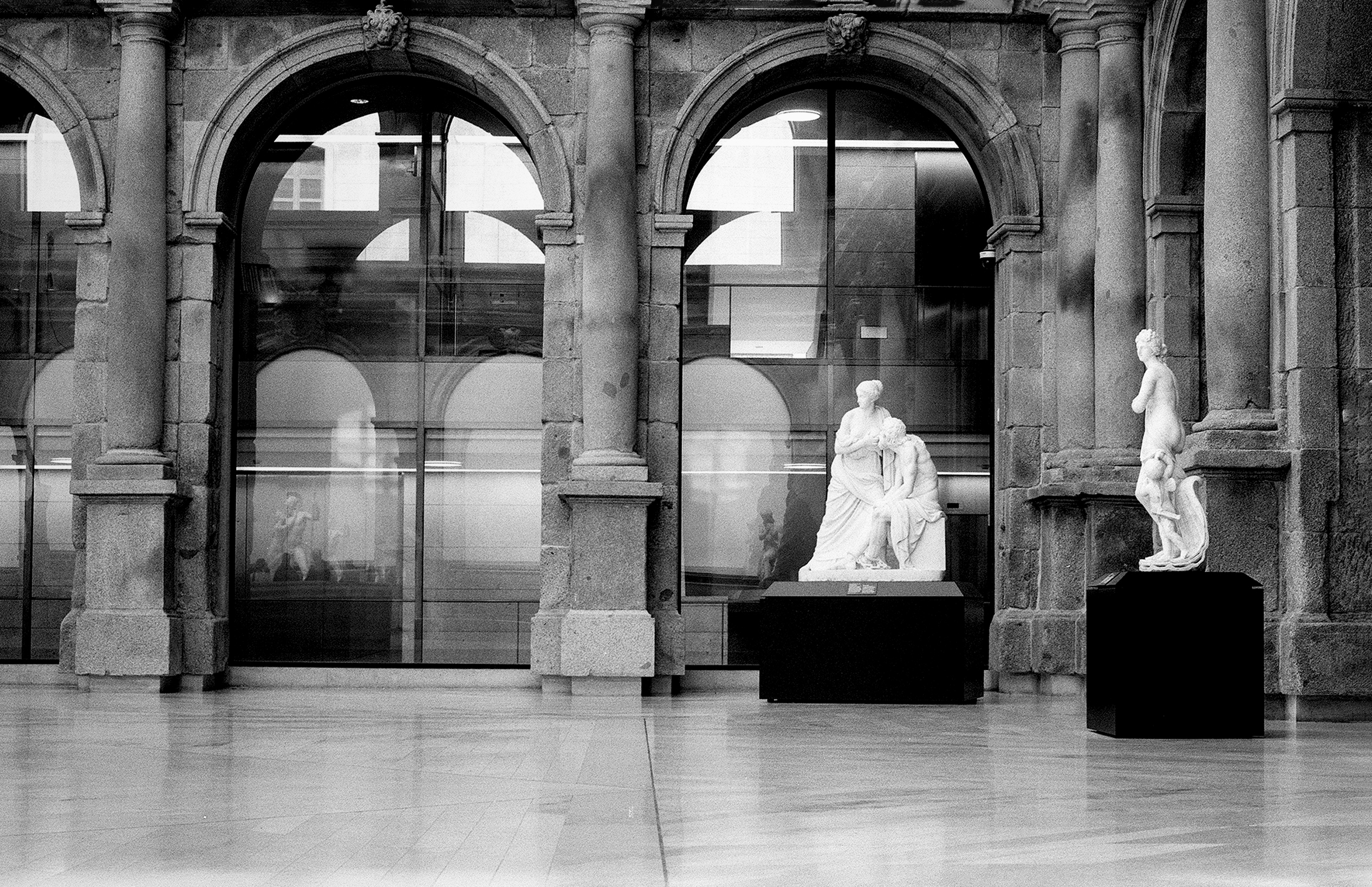 Classical colonnade with white marble statues displayed in gallery setting with arches