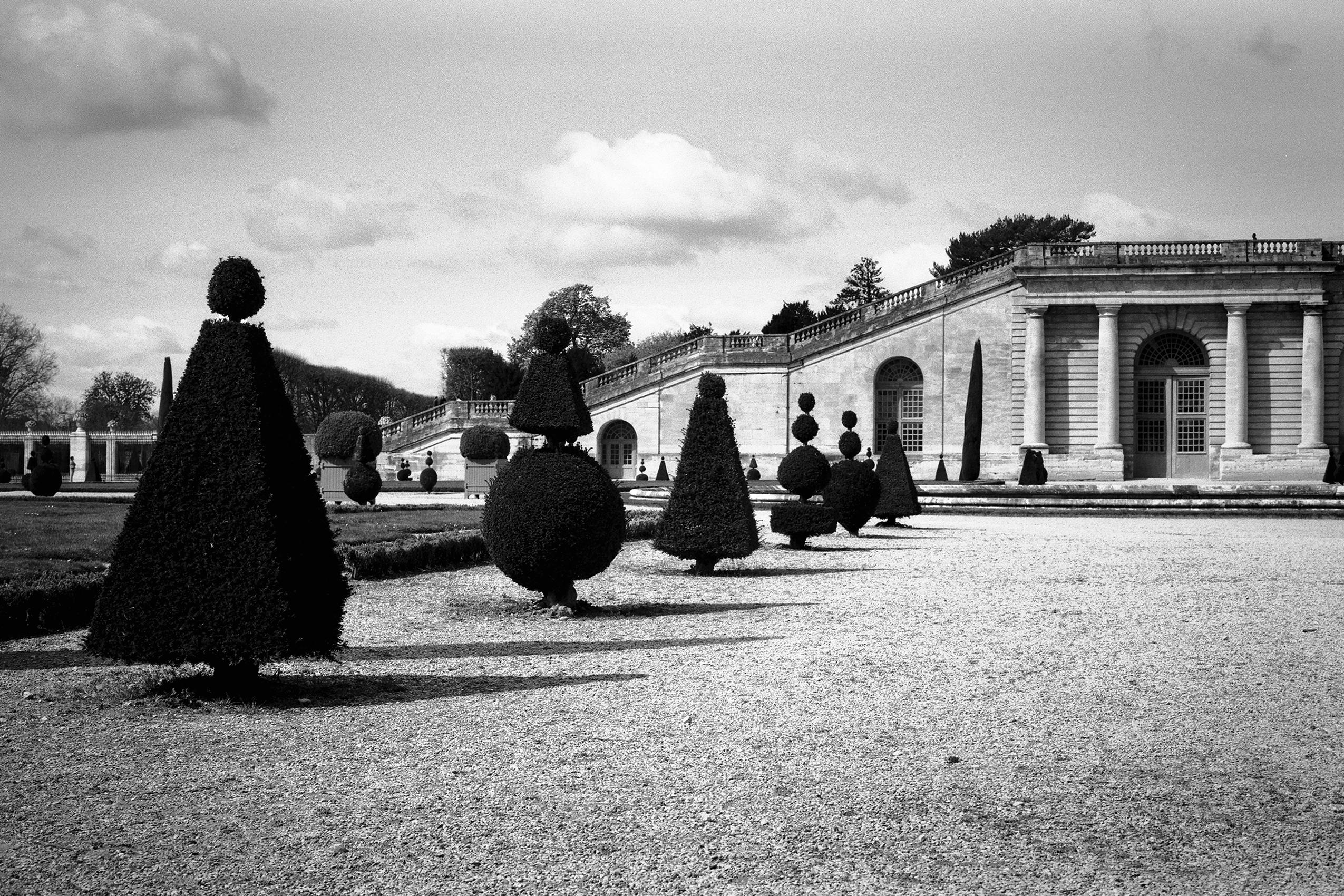 Formal palace gardens with symmetrical topiary cones and cypress trees