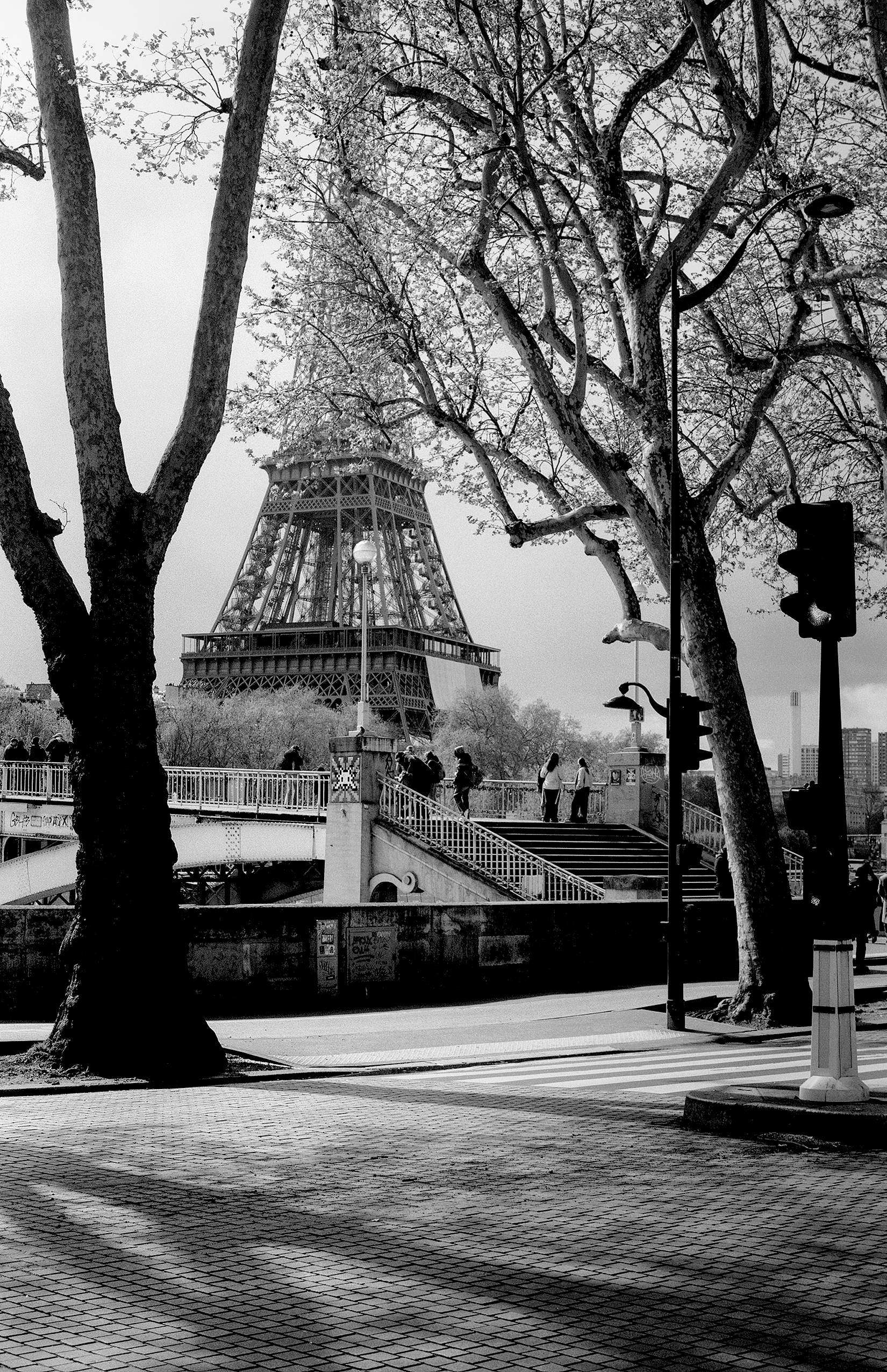 Eiffel Tower viewed through bare tree branches and metal railing at Trocadéro