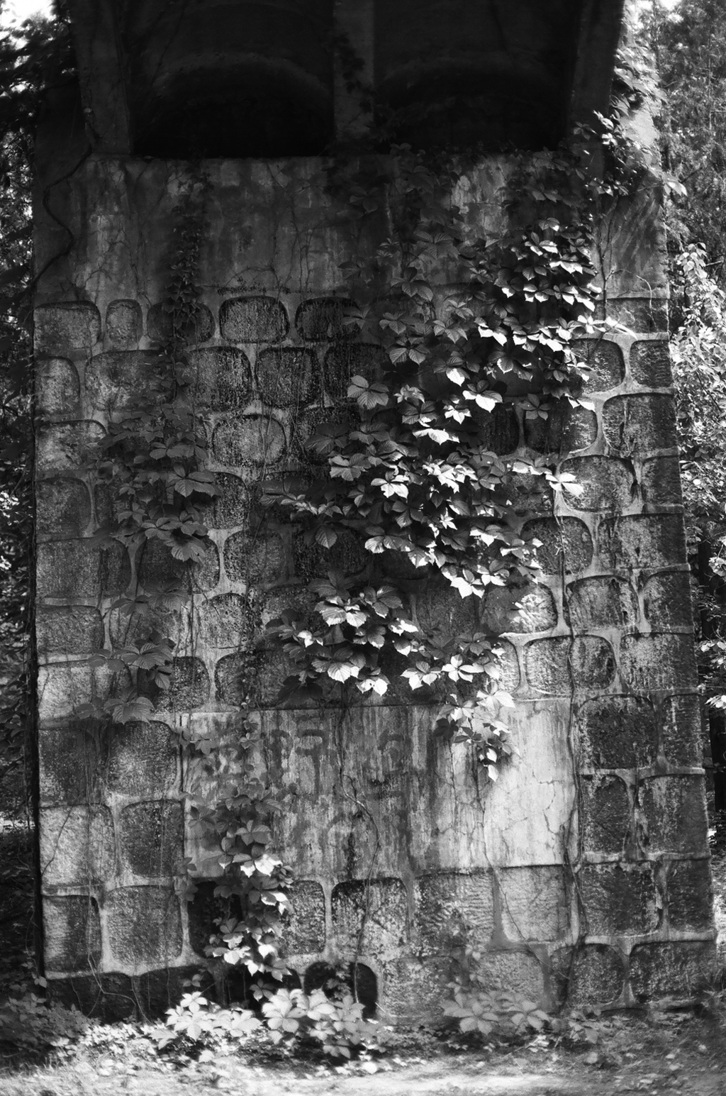Ivy-covered concrete pillars with circular indentations in forest setting