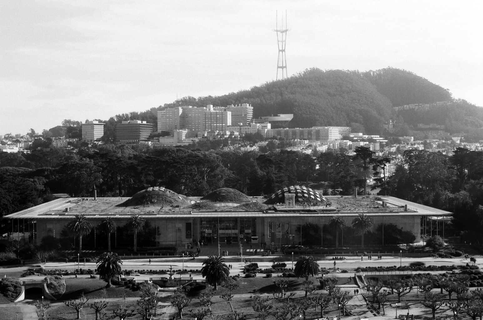 De Young Museum with distinctive roof and Twin Peaks mountain in background