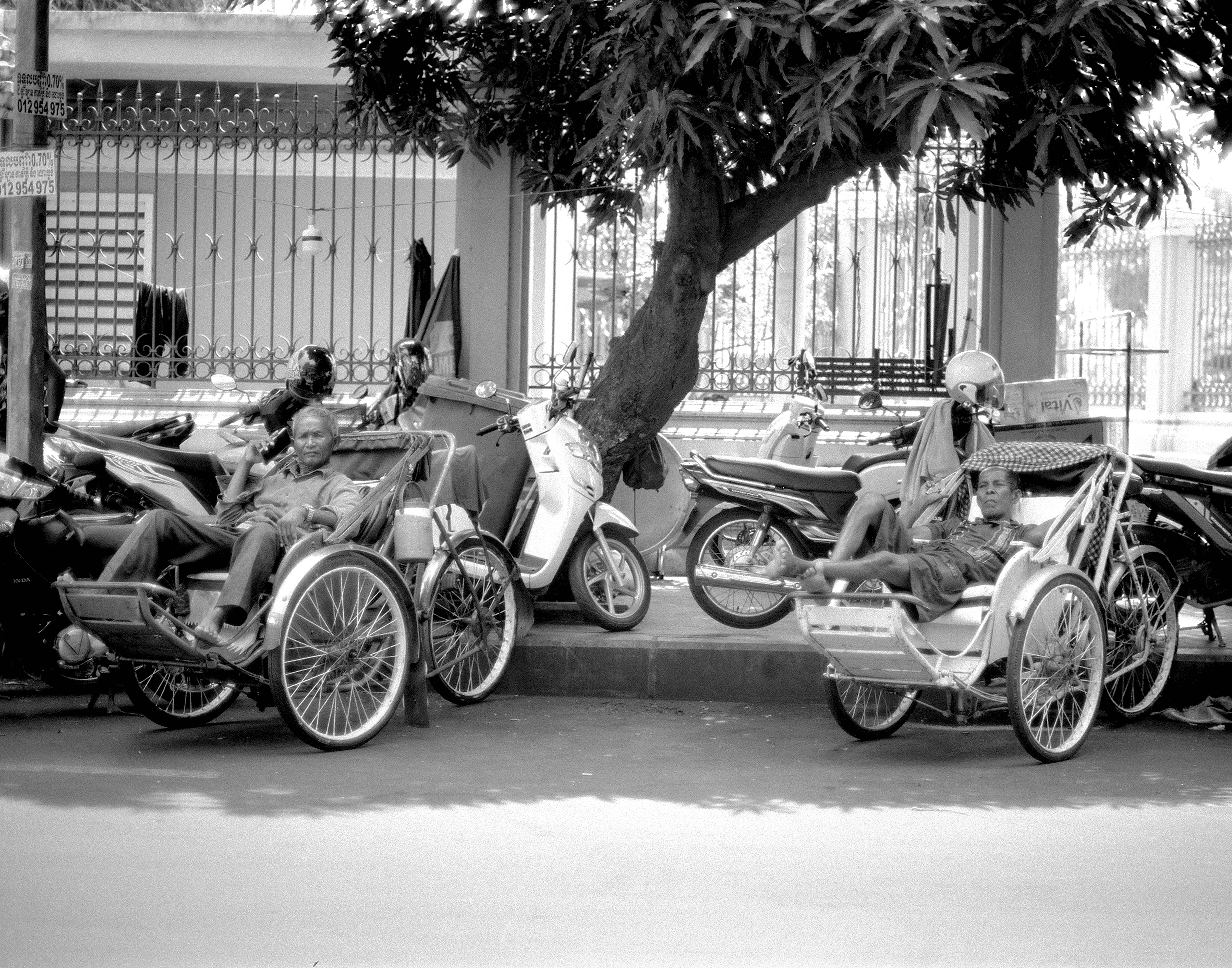 Street scene with parked rickshaws and scooters under large tree in colonial setting