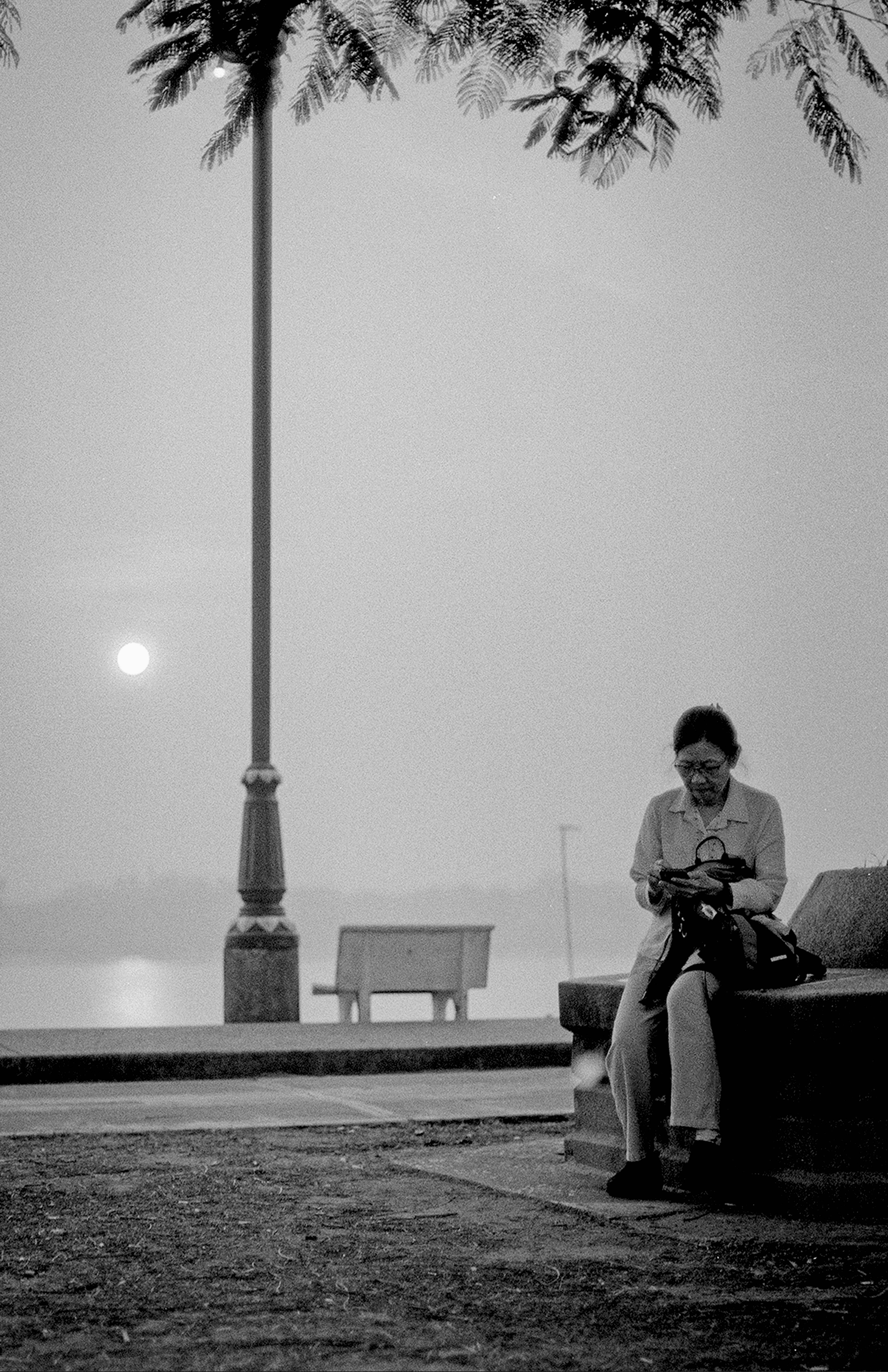 Woman seated on riverside promenade at dusk with palm fronds lamppost and glowing moon over water