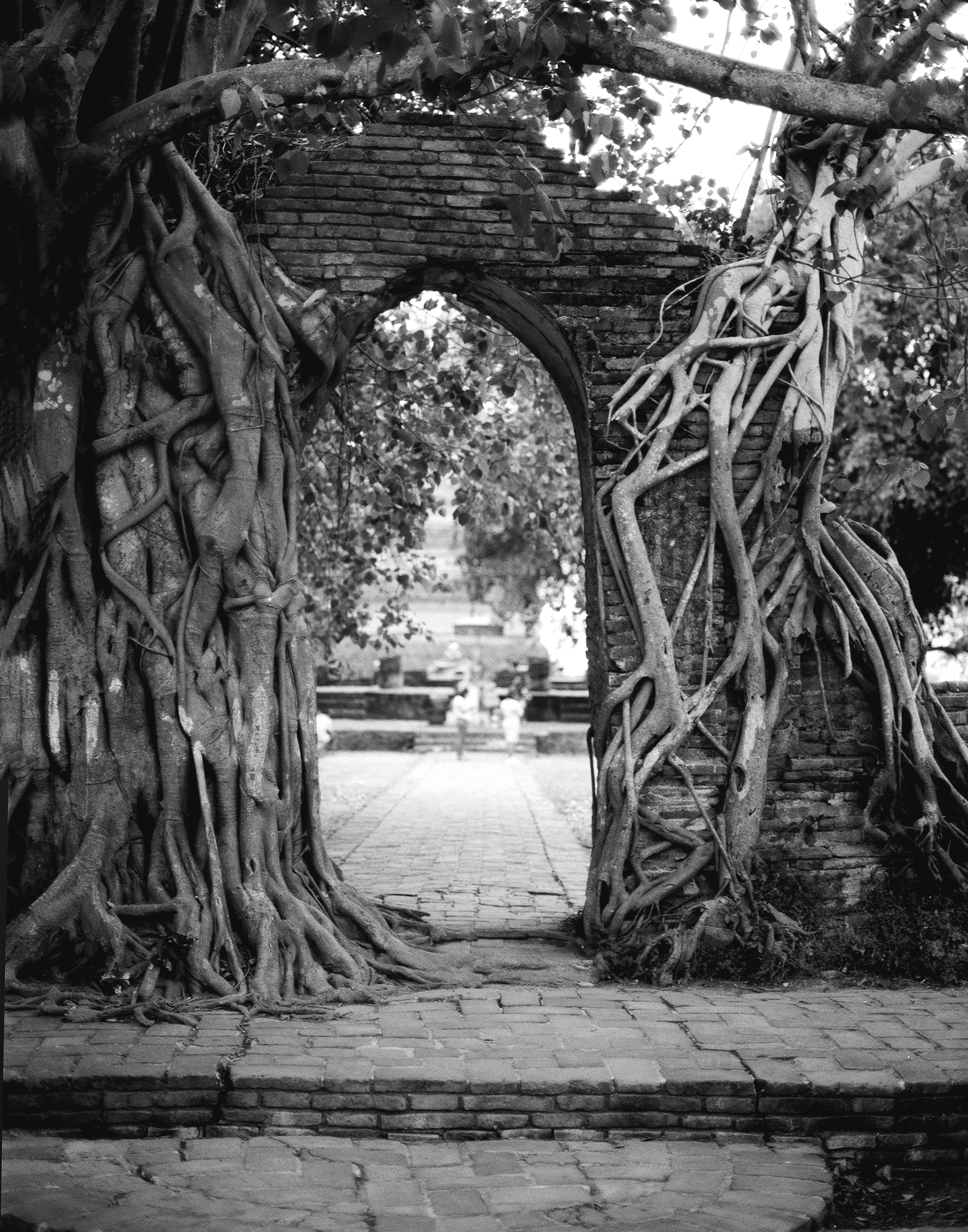 Three headless Buddha statues seated in meditation pose atop brick ruins at Ayutthaya with ancient stupa in background
