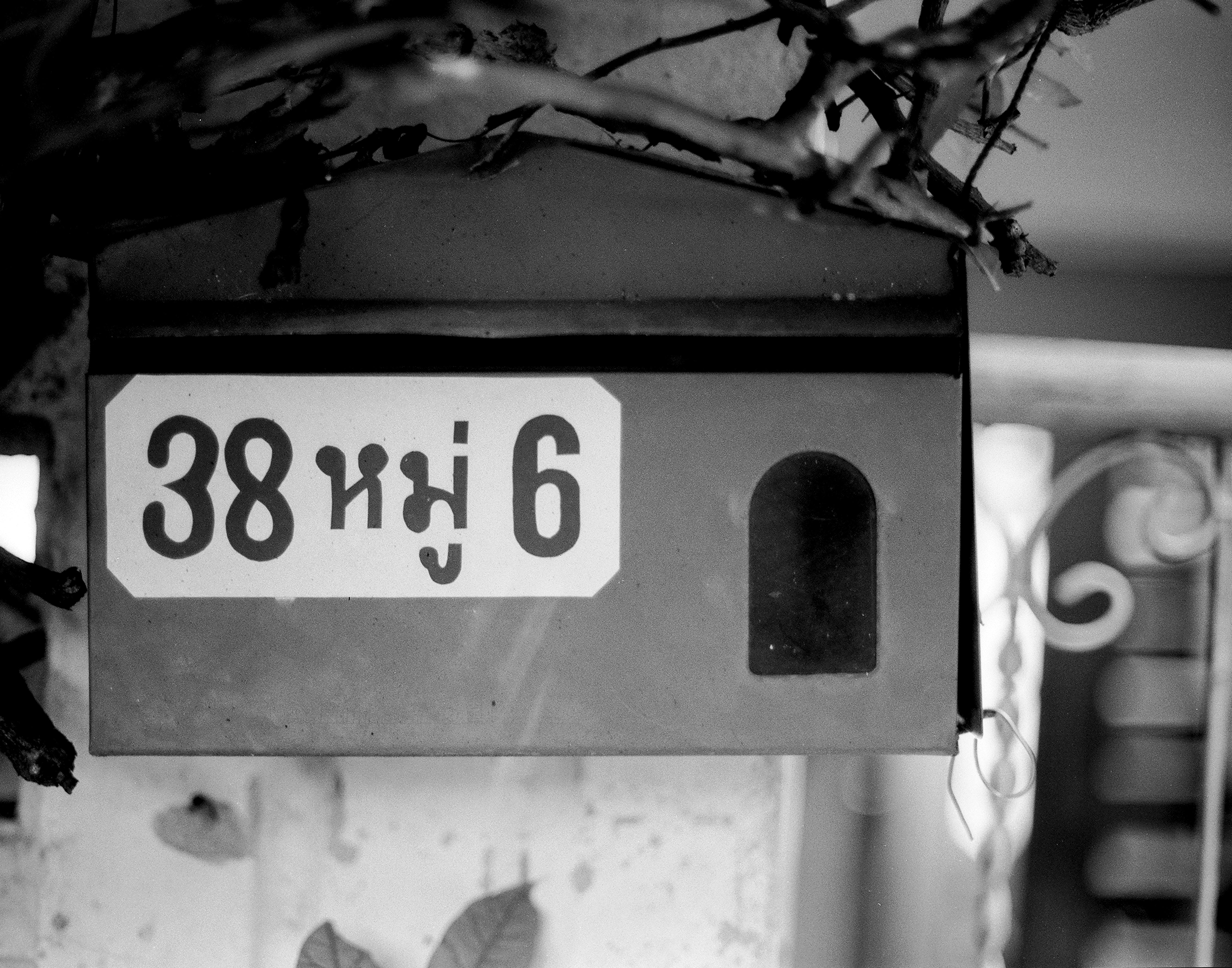 Thai mailbox with address 38 in Thai script showing vernacular typography with branches framing above