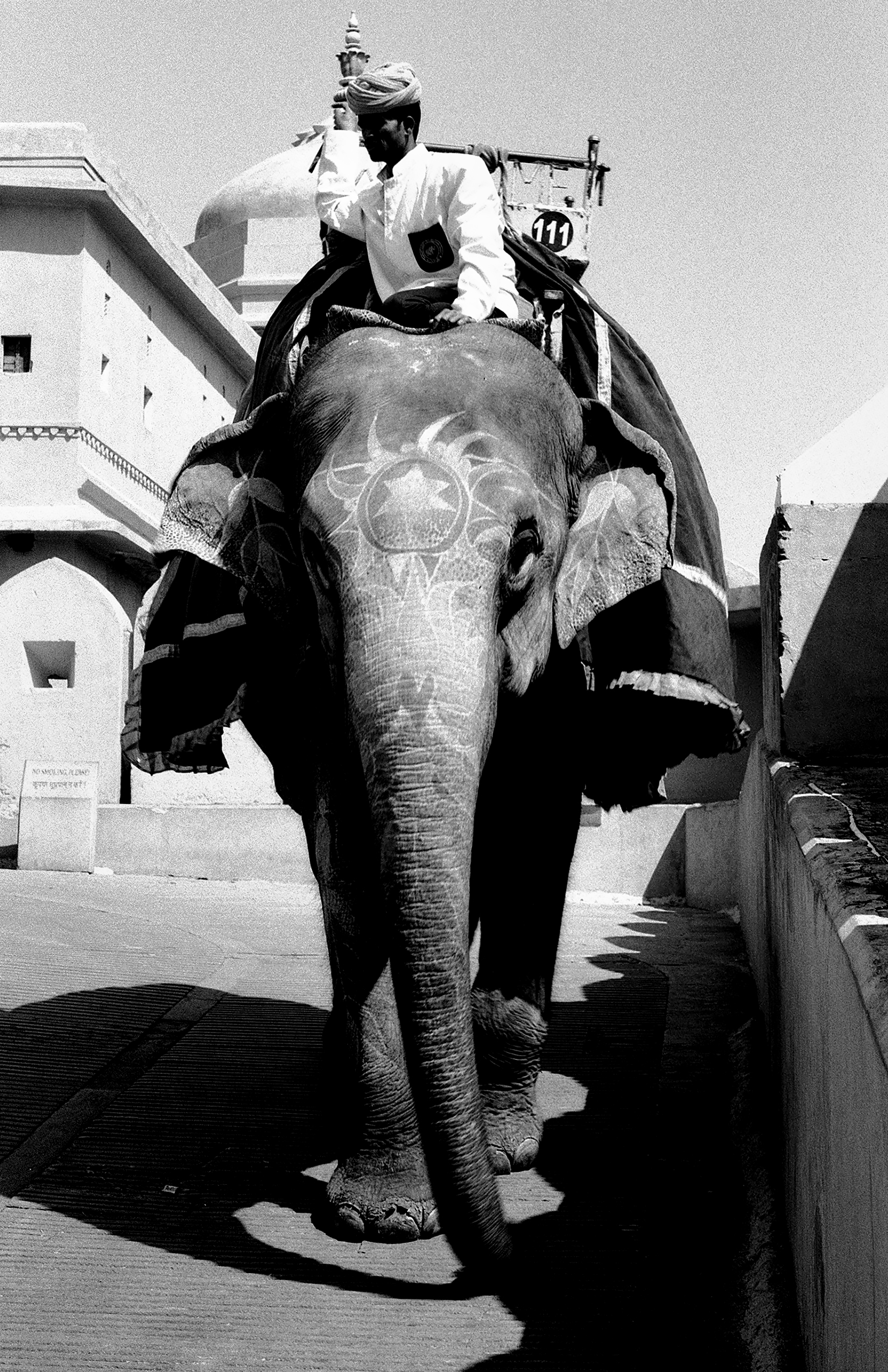Black and white mahout in ceremonial dress on elephant with decorated cloth and shield emblem