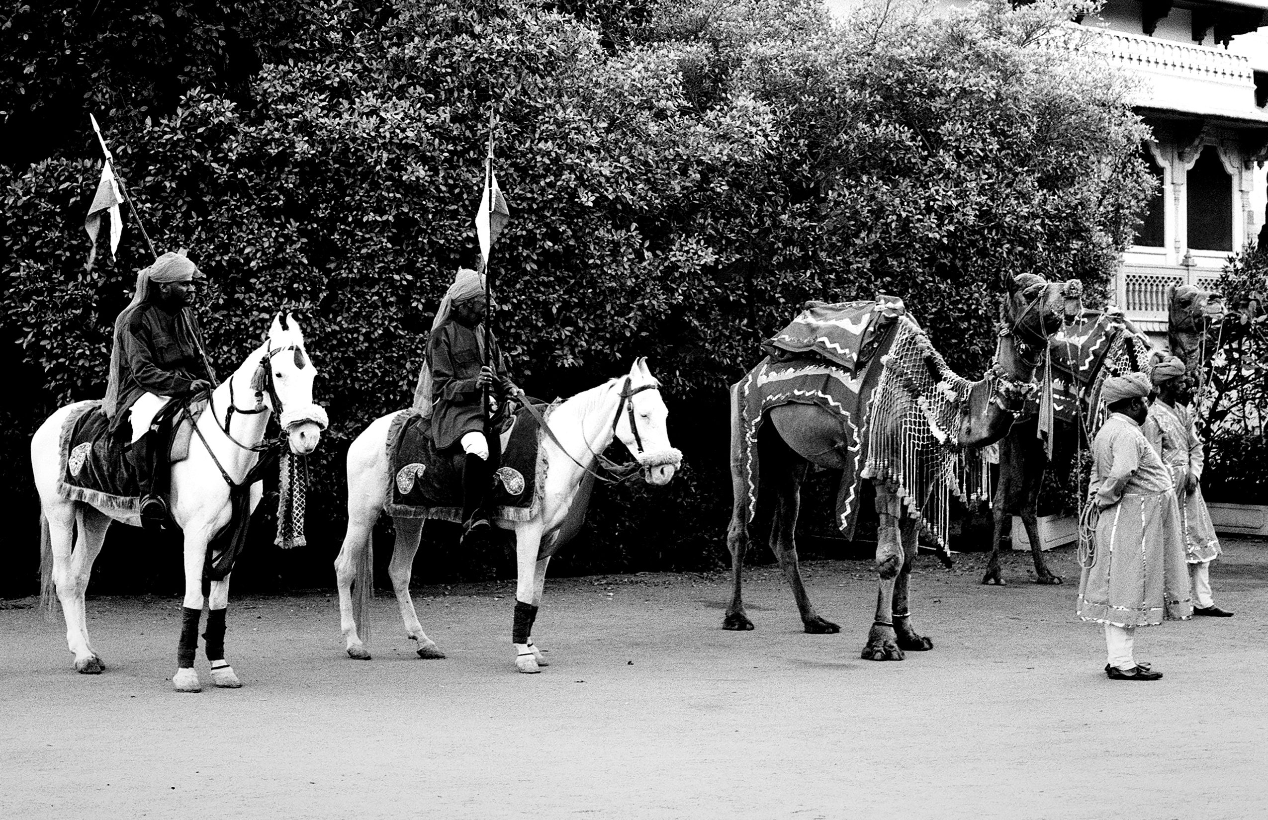 Black and white mounted guard on white horse in traditional ceremonial dress against ornate Sikh temple with domed architecture