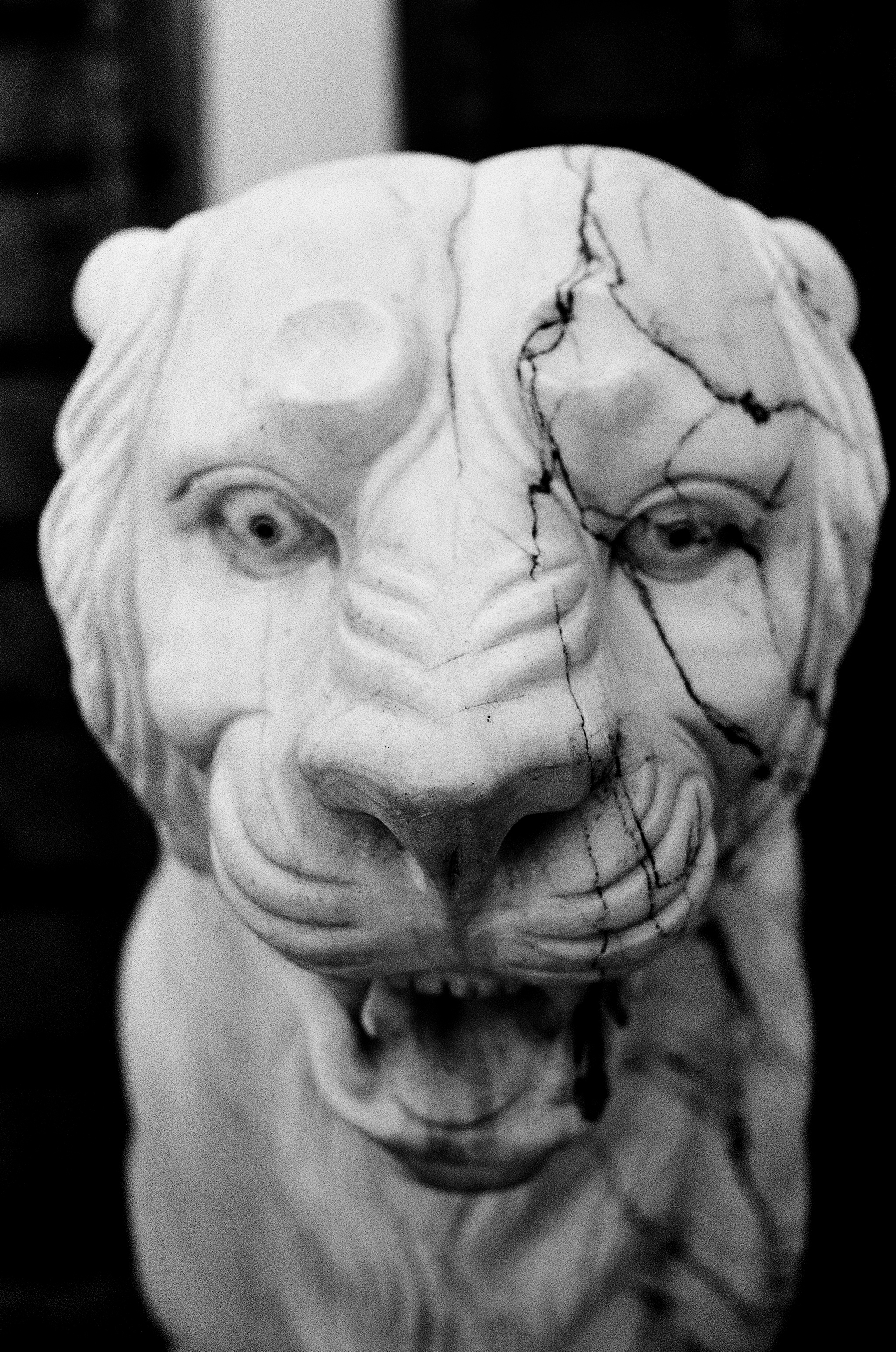 Black and white close-up of cracked broken stone sculpture head with detailed facial features and crown