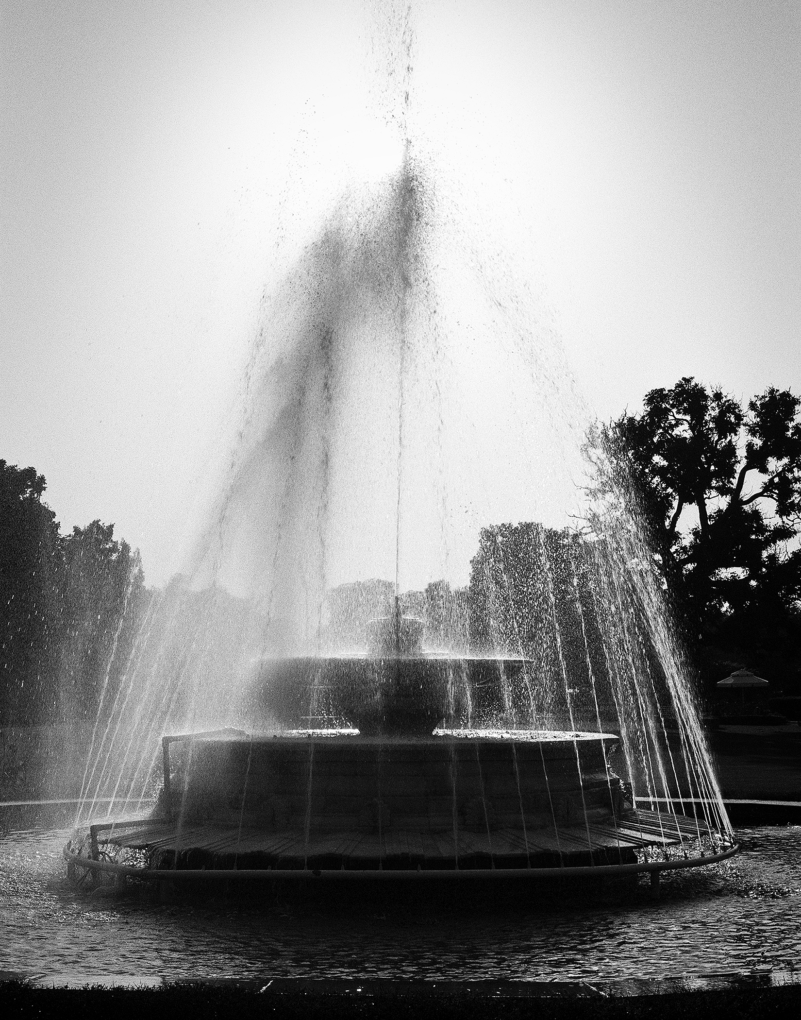 Black and white dramatic fountain display with tall water spray creating misty effect trees lining courtyard
