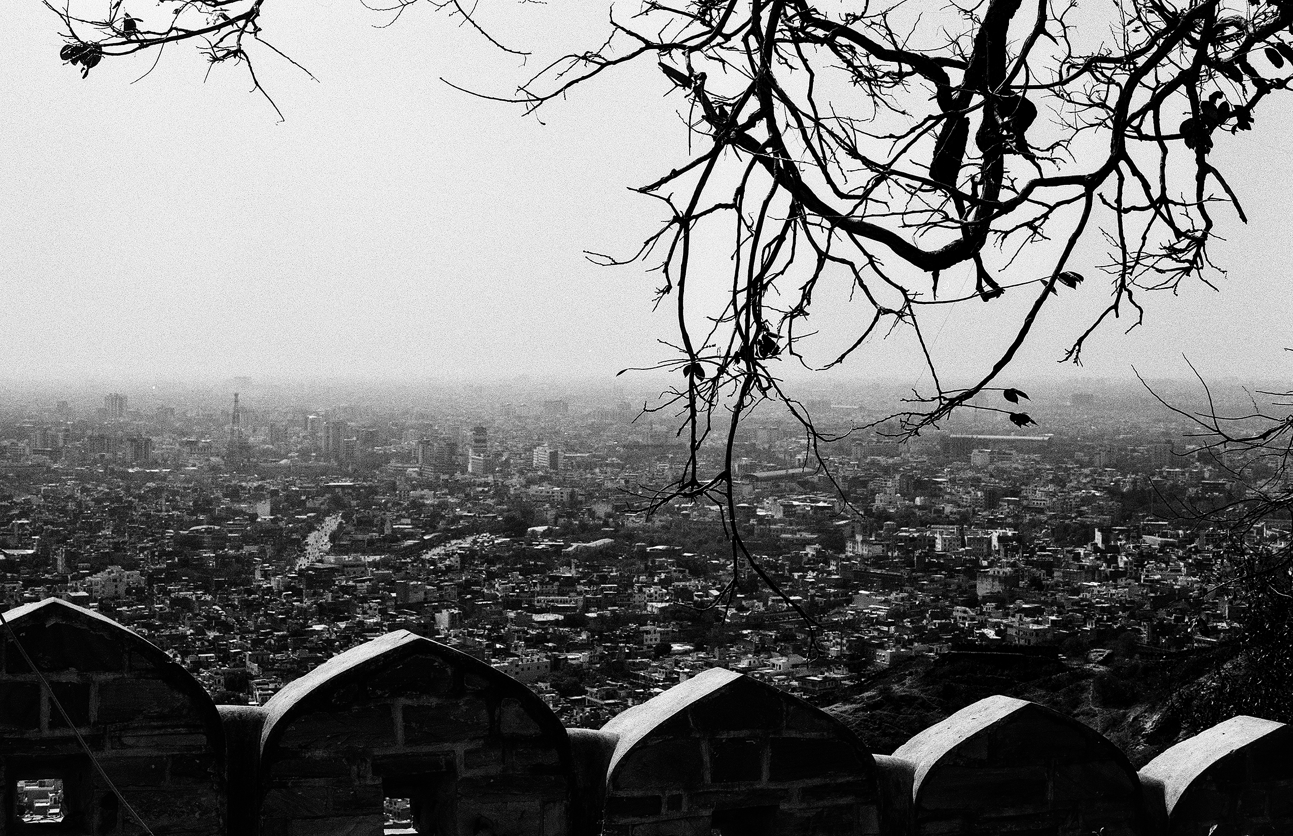 Black and white panoramic cityscape viewed from elevated fort with bare tree branches framing dense urban sprawl