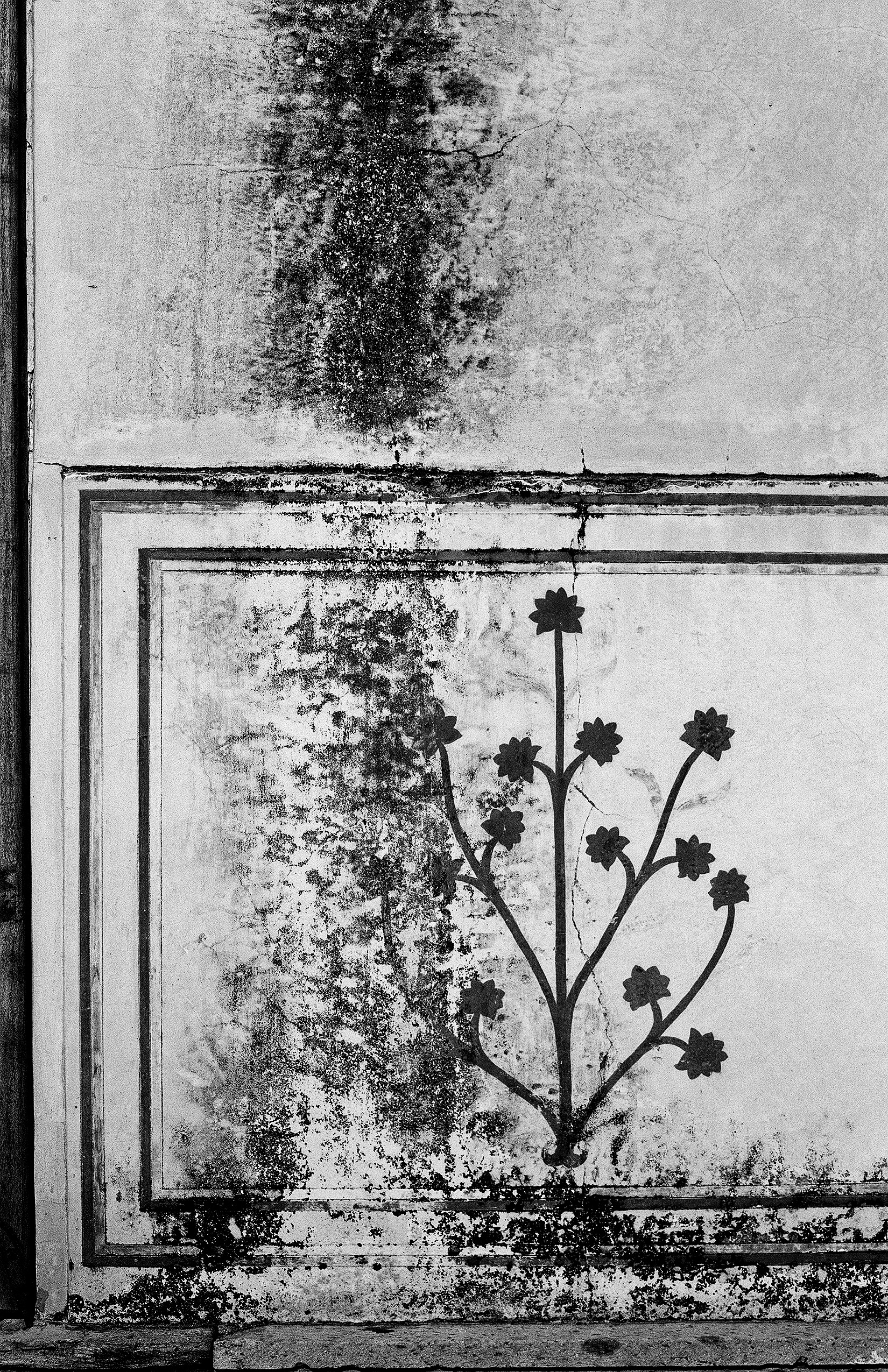 Black and white weathered wall with painted flower design ornate rectangular frame and peeling plaster