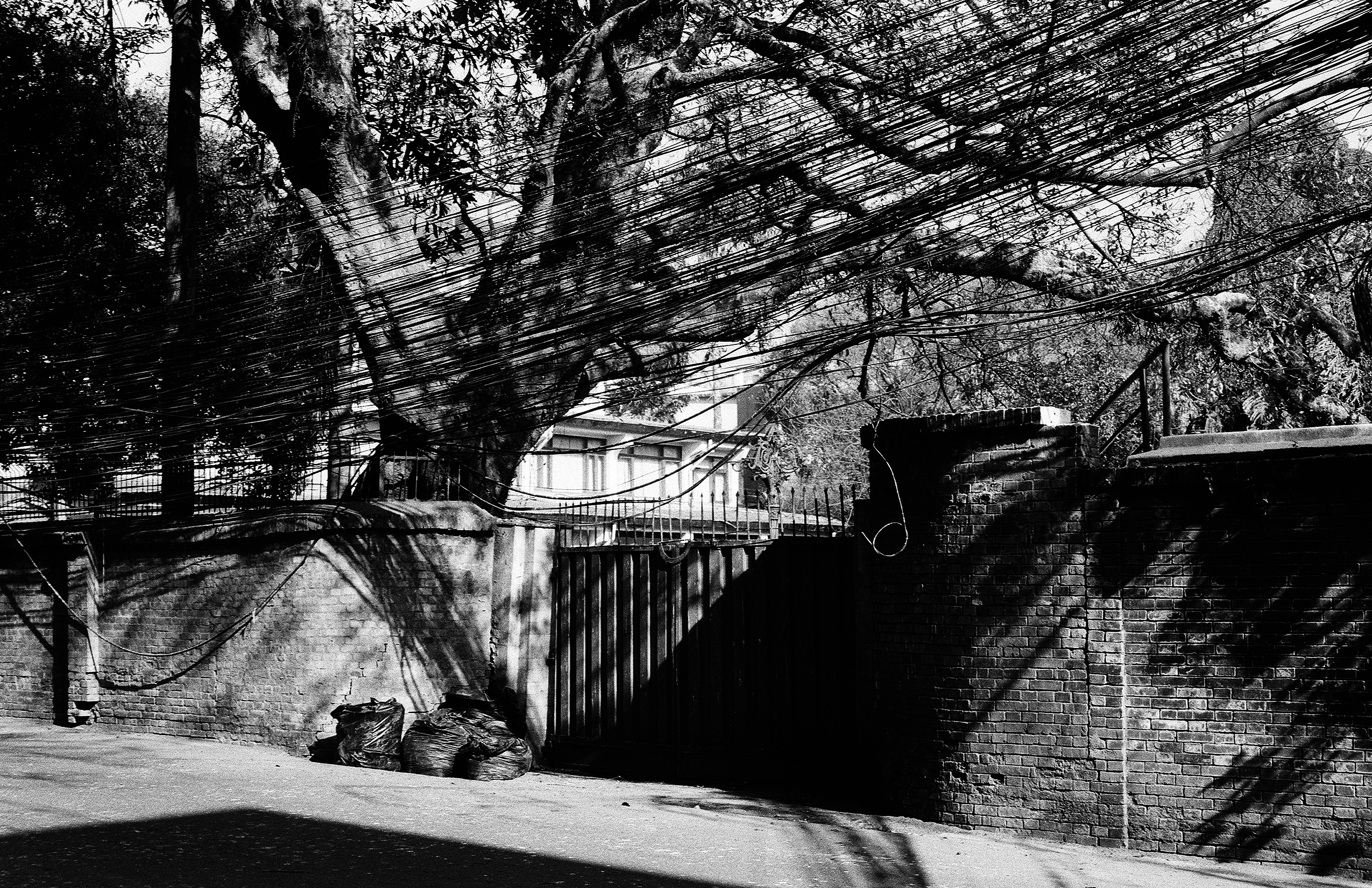 Urban architectural scene with electrical wires and brick buildings