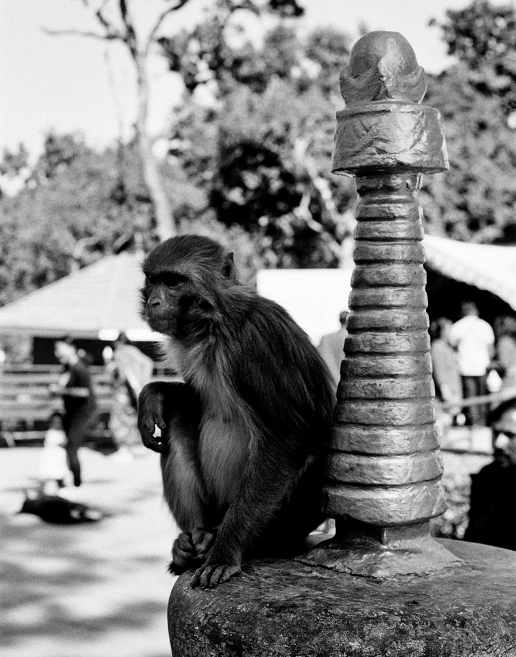 Monkey sitting beside ornate carved metal temple spire with stacked ring decorations