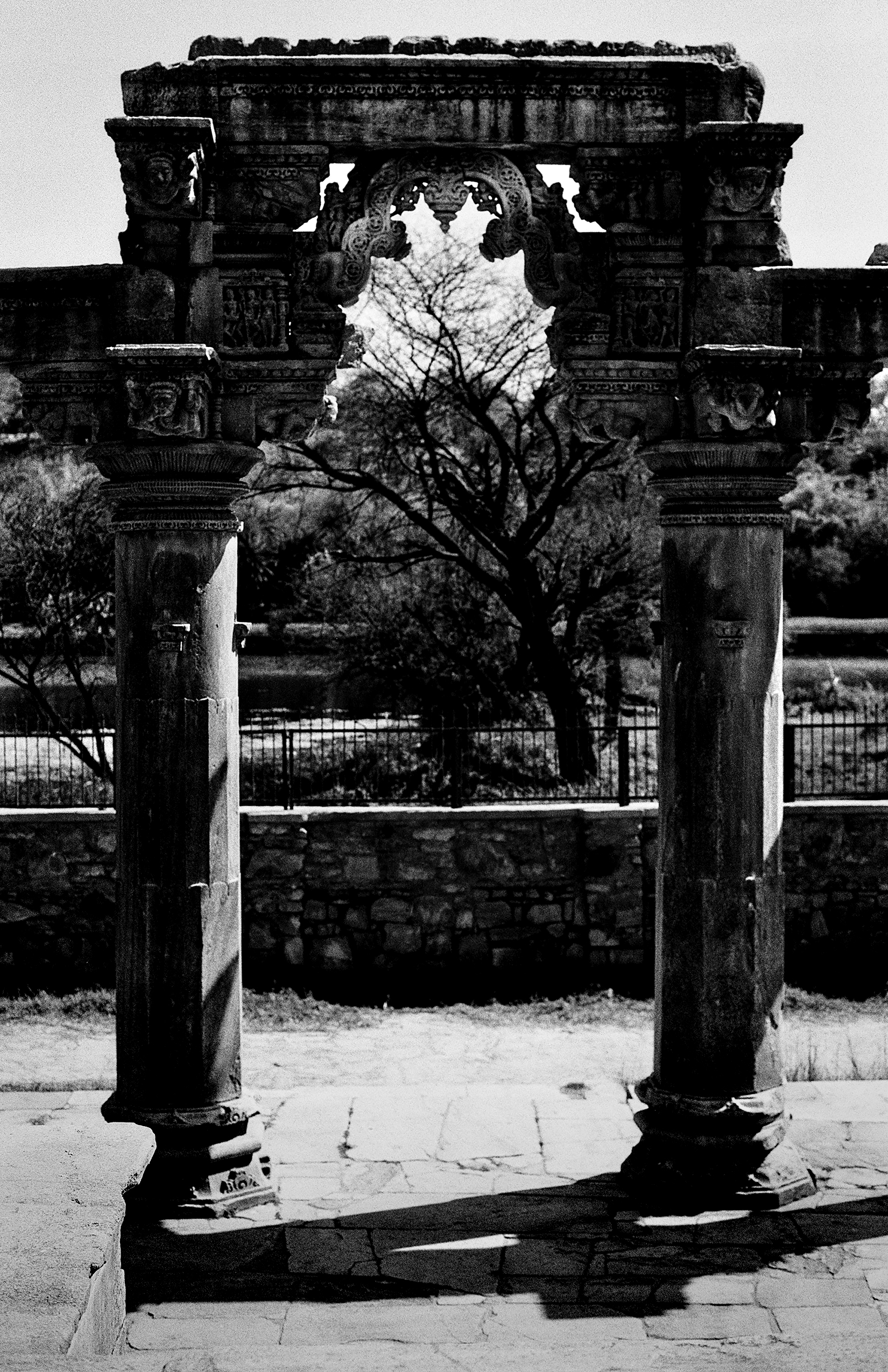 Black and white ancient carved stone archway torana with twin pillars framing tree and sky