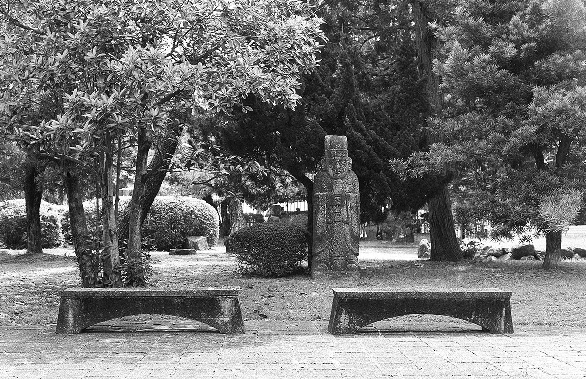 Peaceful cemetery grounds with stone monuments manicured hedges tall mature trees and garden pathways
