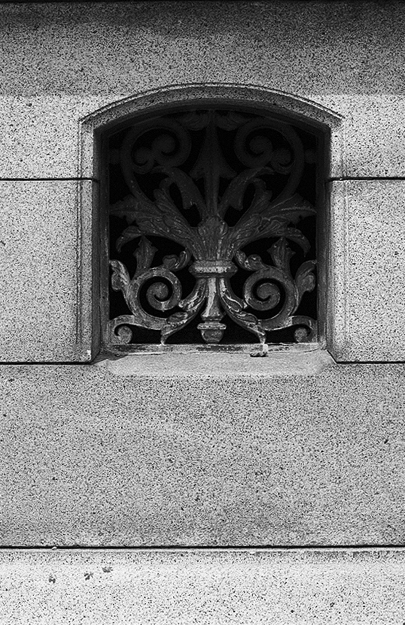 Close-up decorative architectural relief carving with spiral scrolls leaf motifs and ornamental stone detail