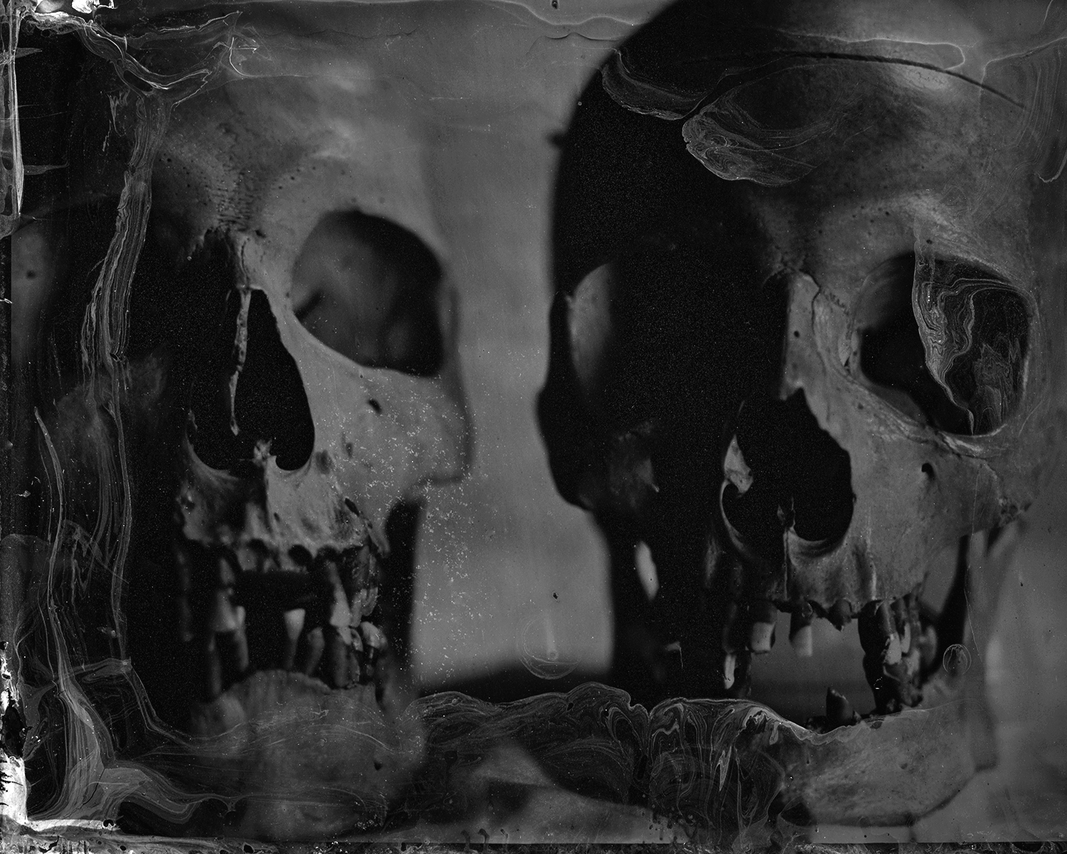 Haunting collodion image of two skull forms with ethereal film grain and emulsion textures creating ghostly atmosphere