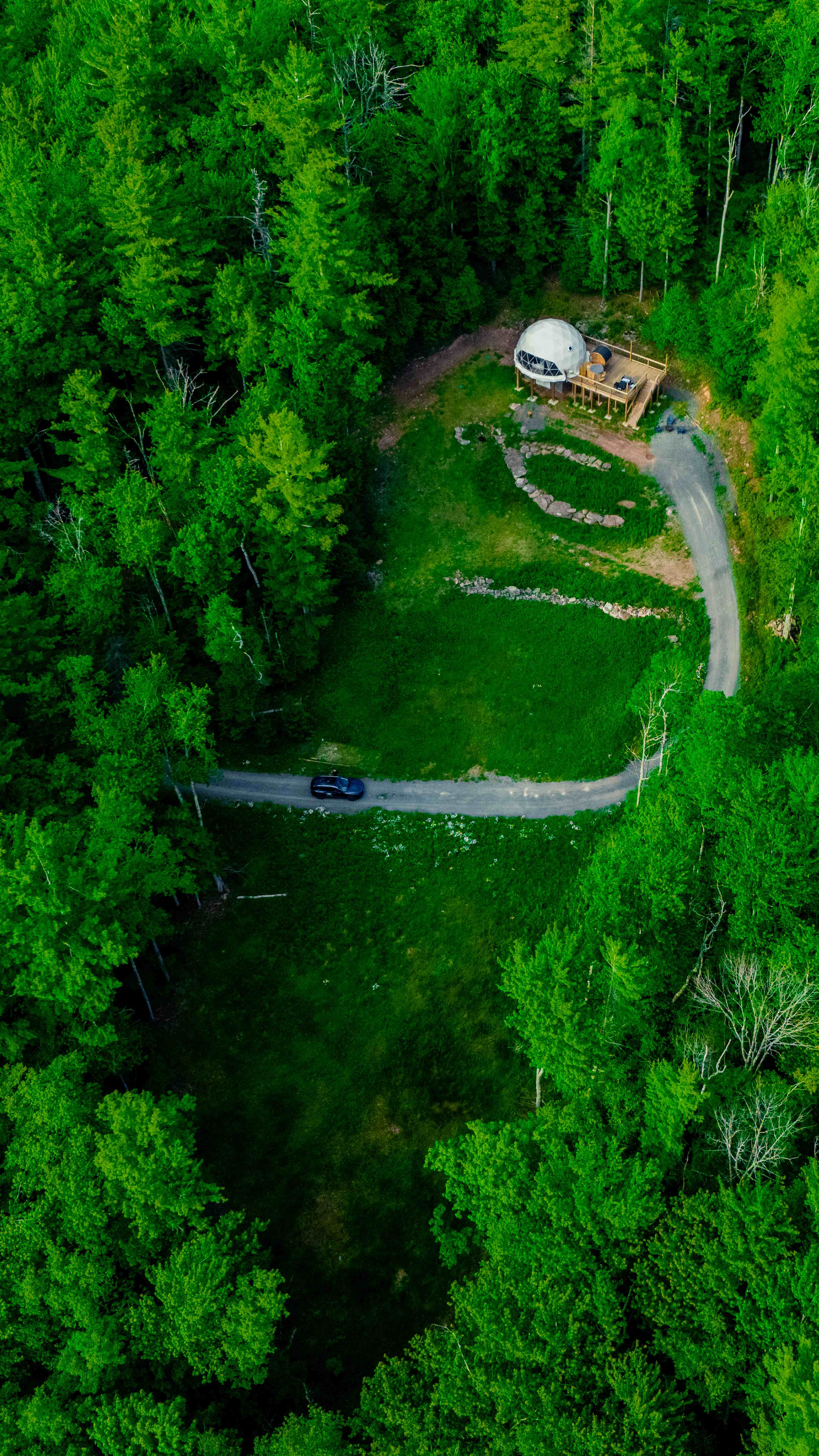 Aerial view of dome in lush green summer forest