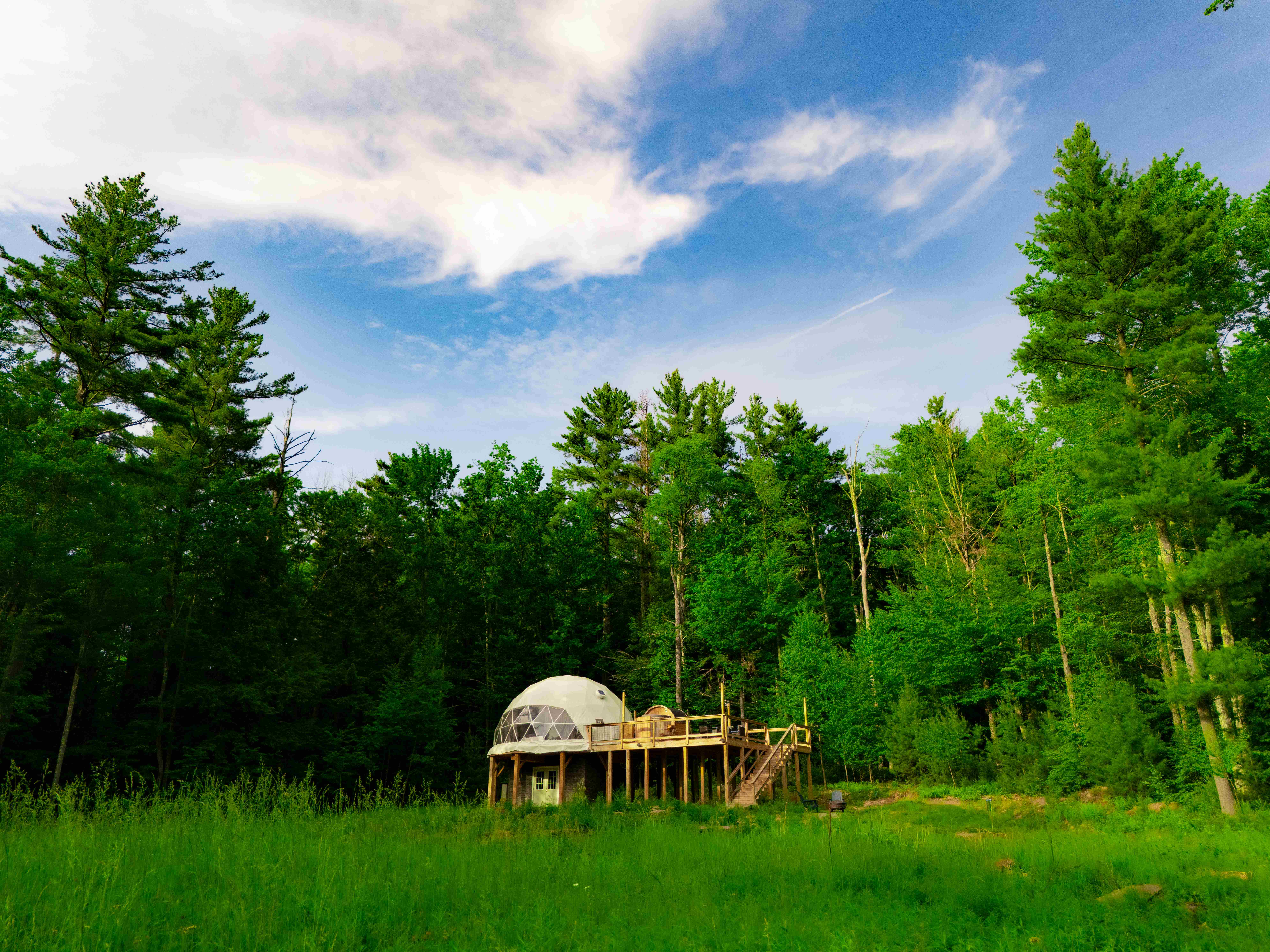 Luxury geodesic dome nestled in a lush green summer meadow surrounded by tall pine trees